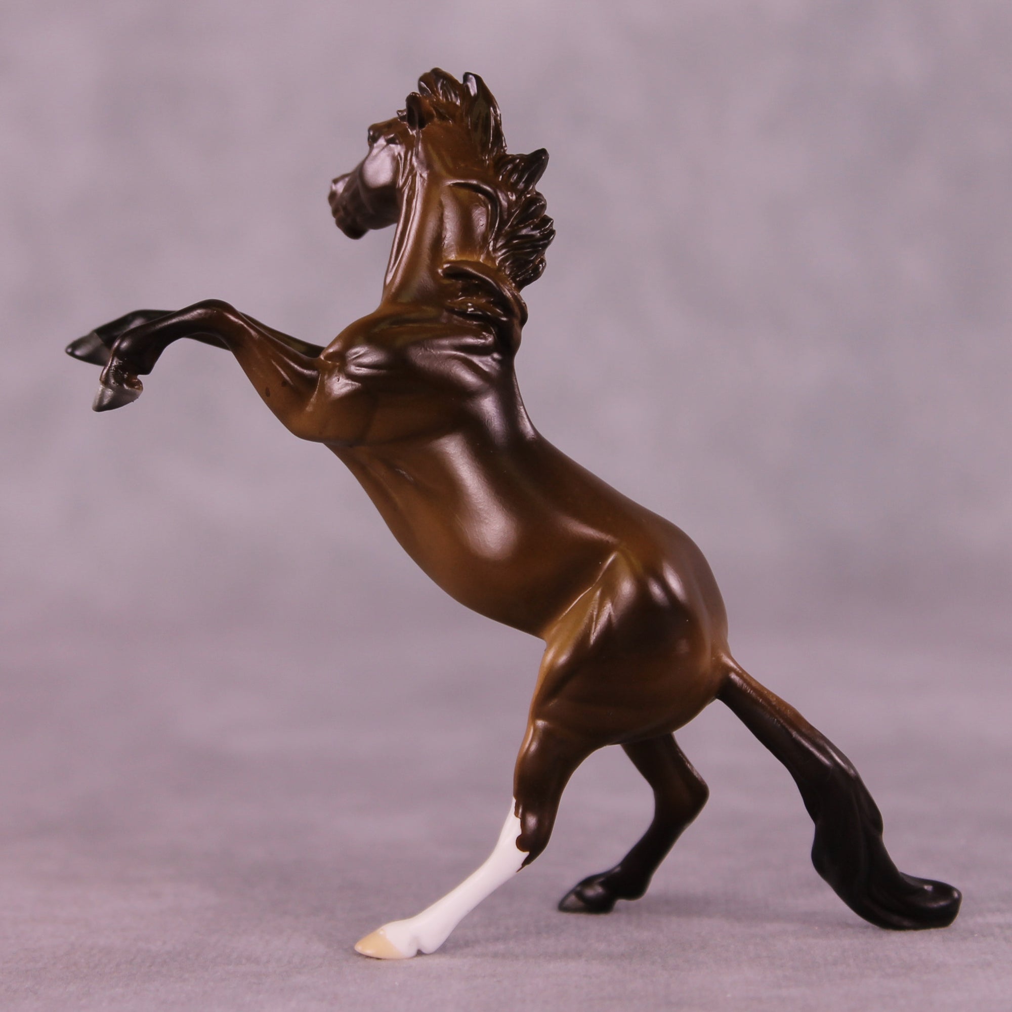 Winthrop OOAK Rearing Chip by Anna Rieck LHS25