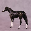 Dark Roast OOAK Thoroughbred Chip by Kike Duarte EQ25
