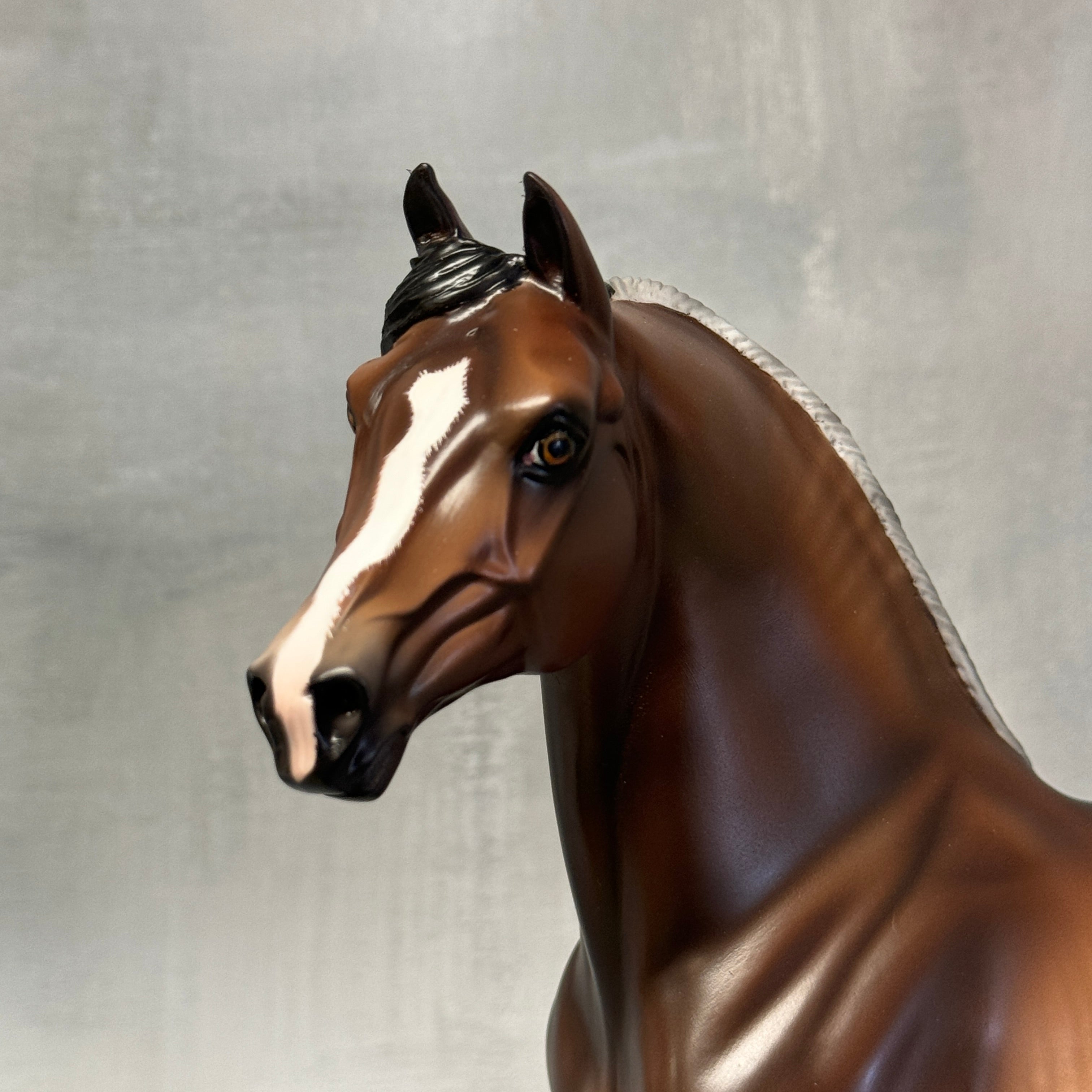 Rawlins OOAK Bay Rabicano Custom Morgan By Sheryl Leisure Best Offers 8/27/24