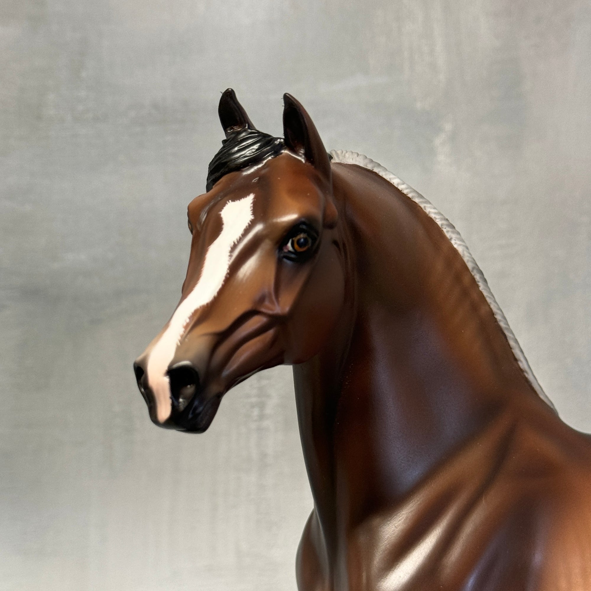 Rawlins OOAK Bay Rabicano Custom Morgan By Sheryl Leisure Best Offers 8/27/24