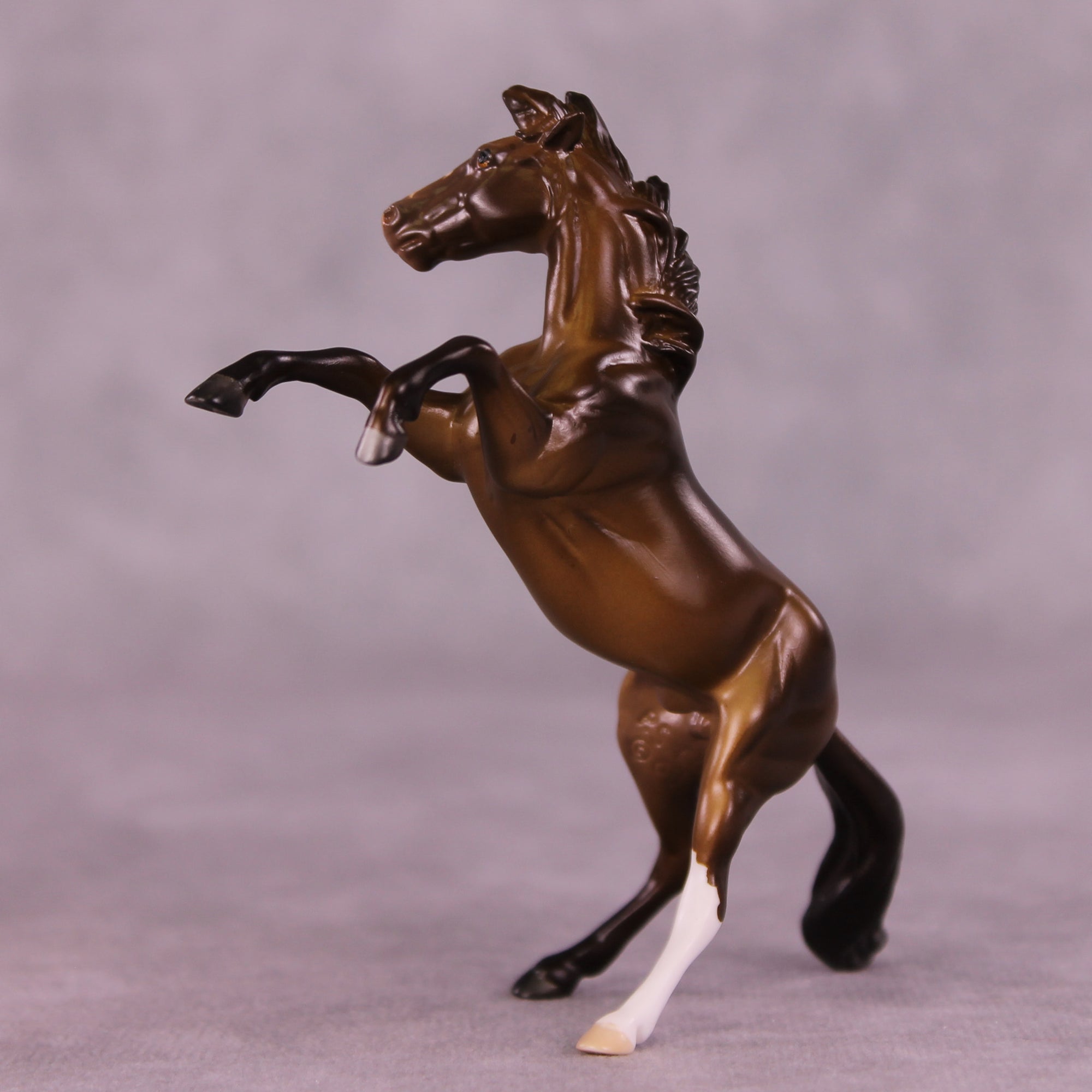 Winthrop OOAK Rearing Chip by Anna Rieck LHS25