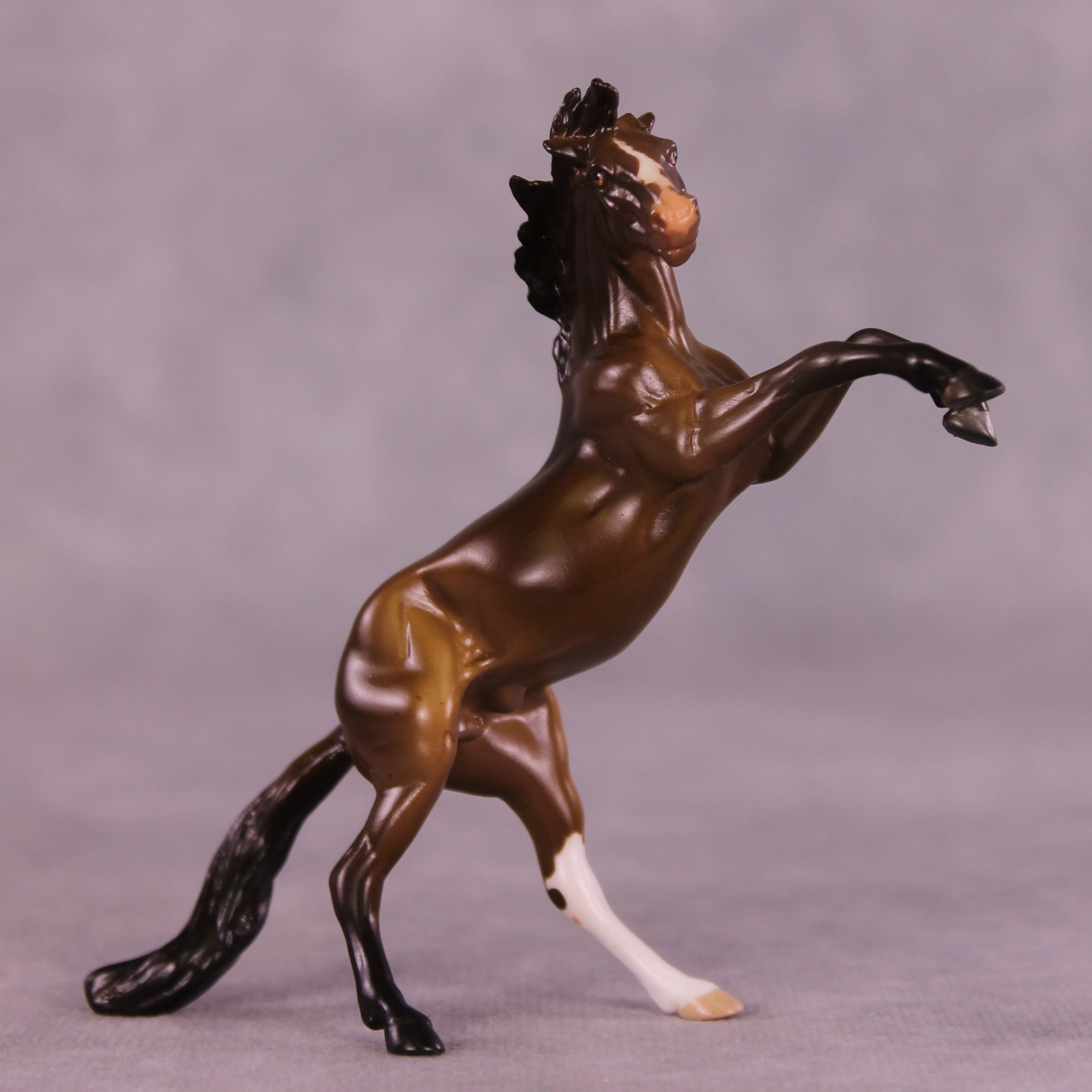 Winthrop OOAK Rearing Chip by Anna Rieck LHS25