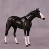Dark Roast OOAK Thoroughbred Chip by Kike Duarte EQ25