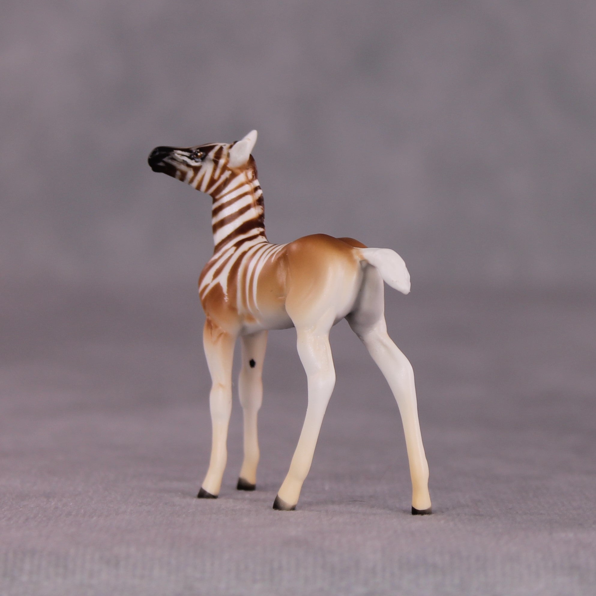 "Zinhle" Foal Chip by Tegan Davis