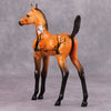 PREVIEW LISTING ONLY All Tricks OOAK Orange Halloween Scene Deco Arab Foal By Dawn Quick MM24