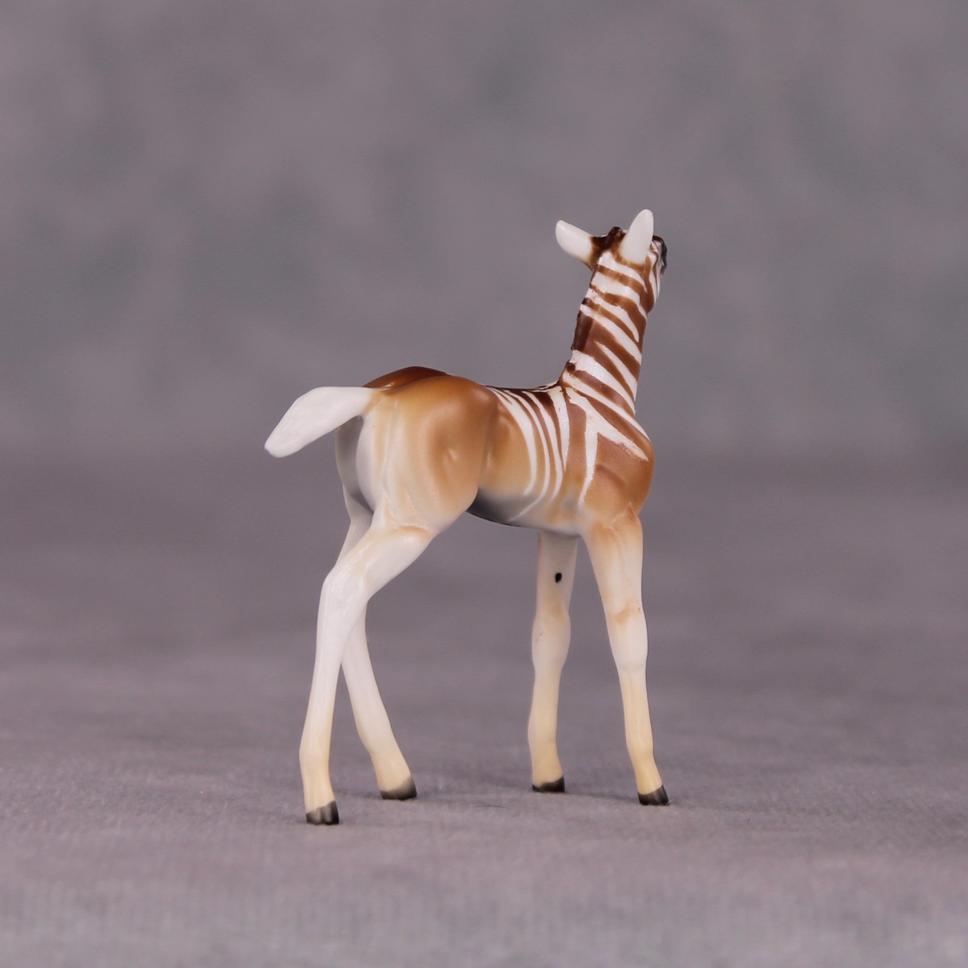 "Zinhle" Foal Chip by Tegan Davis