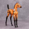 PREVIEW LISTING ONLY All Tricks OOAK Orange Halloween Scene Deco Arab Foal By Dawn Quick MM24