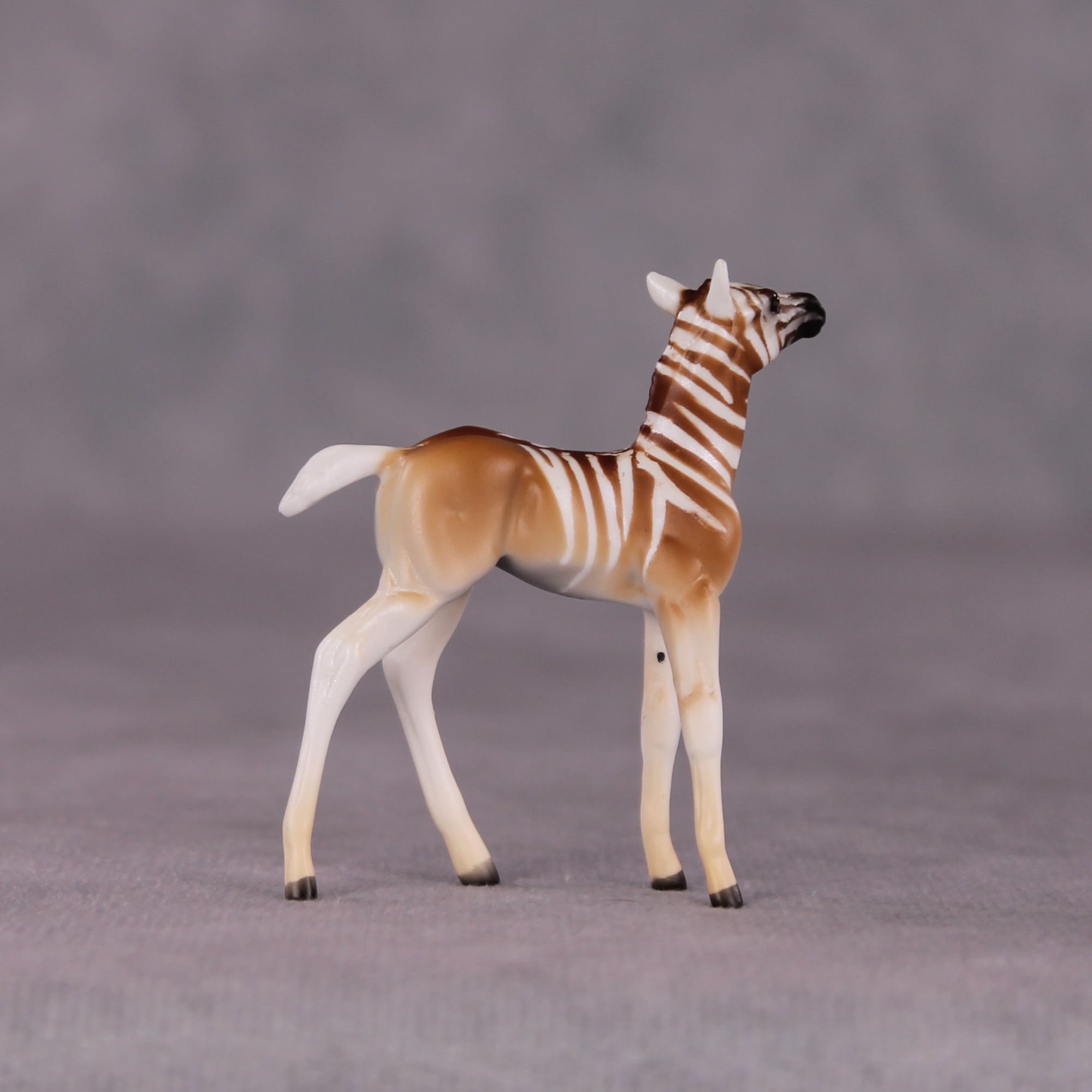 "Zinhle" Foal Chip by Tegan Davis