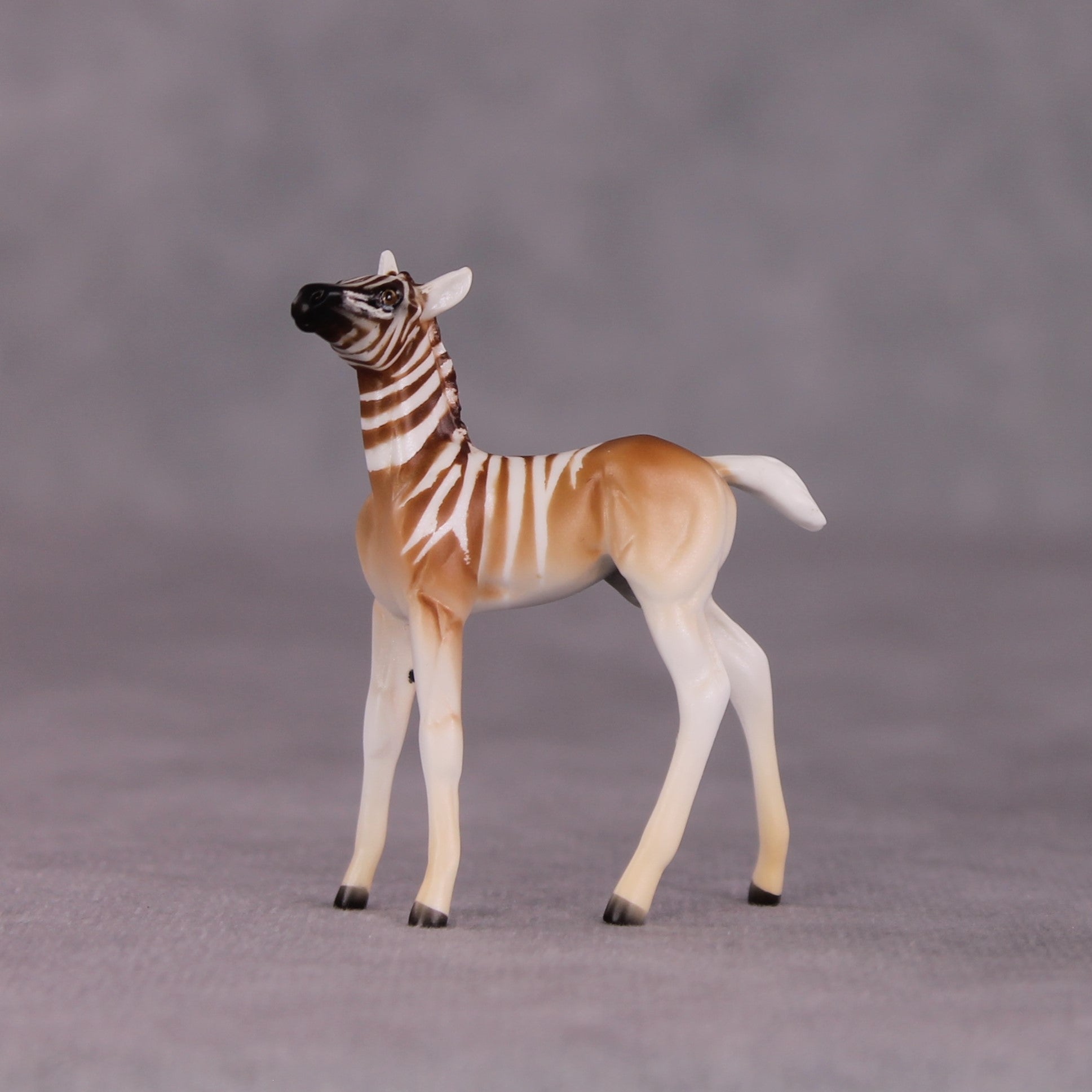 "Zinhle" Foal Chip by Tegan Davis