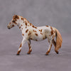 &quot;Polar Plunge&quot; OOAK Chestnut Leopard Appy W/ Halo Spots Pony Chip By Guest Artist Kristen Cermele