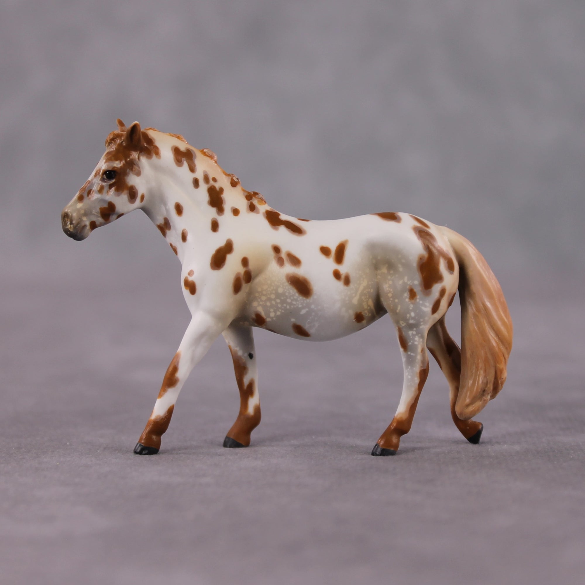 "Polar Plunge" OOAK Chestnut Leopard Appy W/ Halo Spots Pony Chip By Guest Artist Kristen Cermele