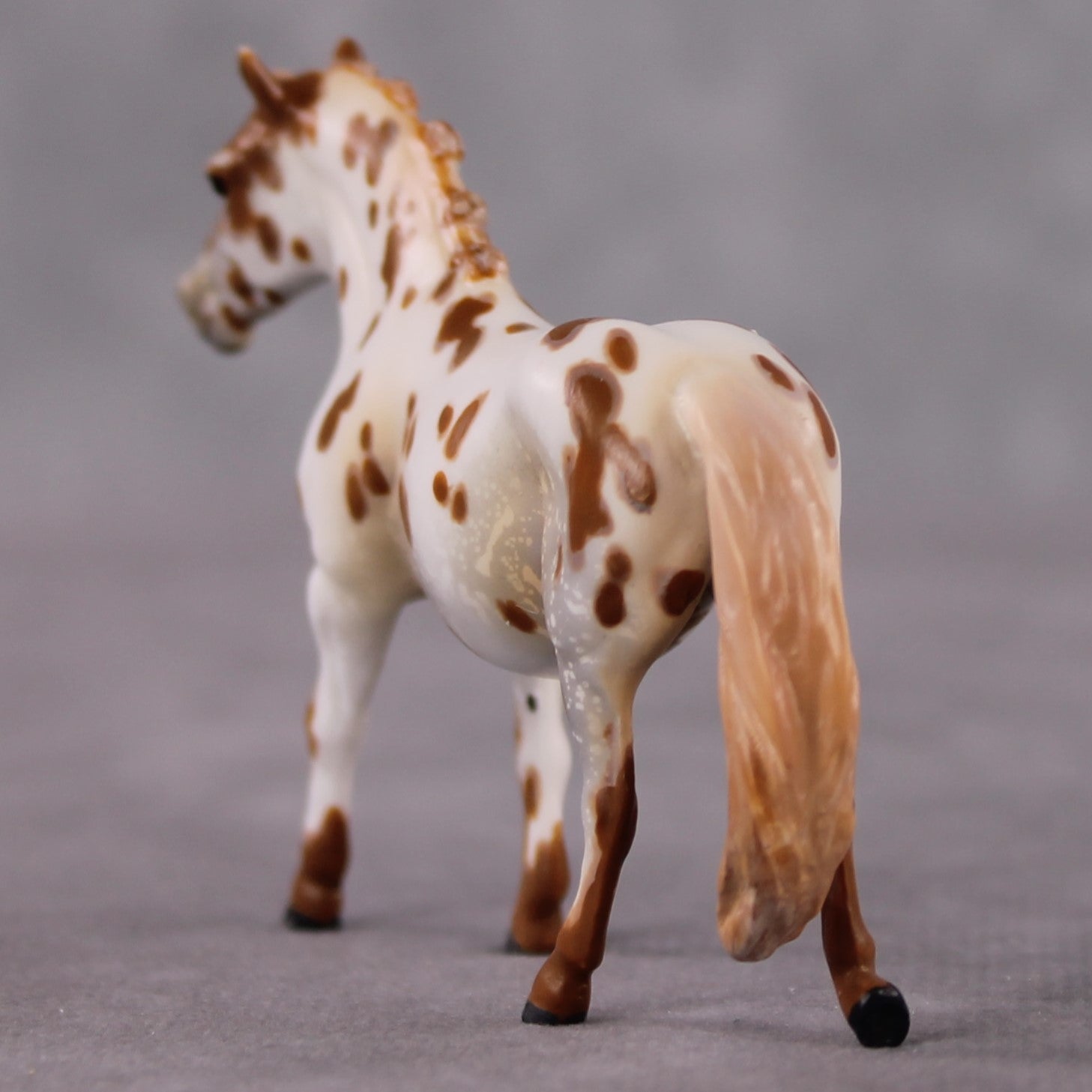 "Polar Plunge" OOAK Chestnut Leopard Appy W/ Halo Spots Pony Chip By Guest Artist Kristen Cermele