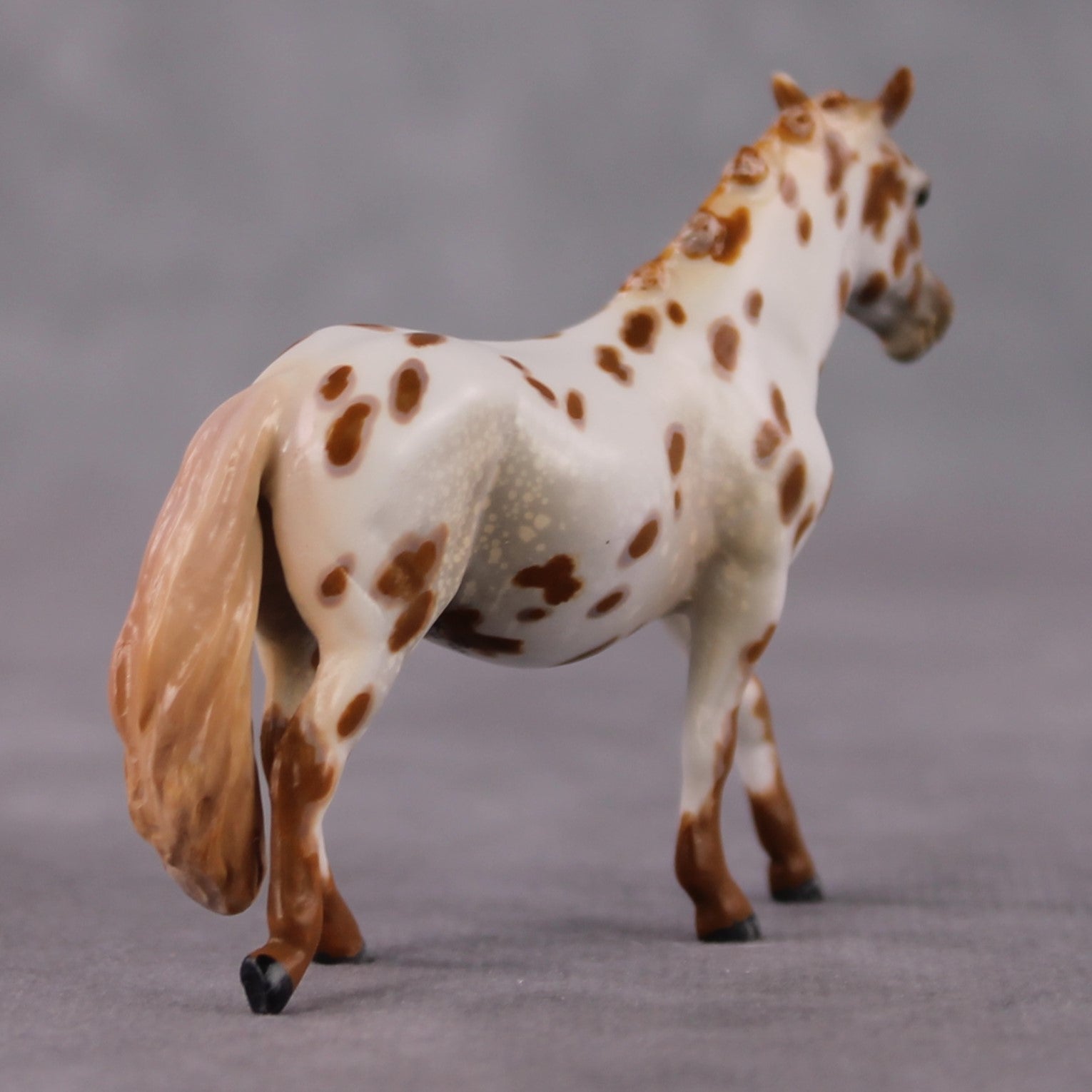 "Polar Plunge" OOAK Chestnut Leopard Appy W/ Halo Spots Pony Chip By Guest Artist Kristen Cermele