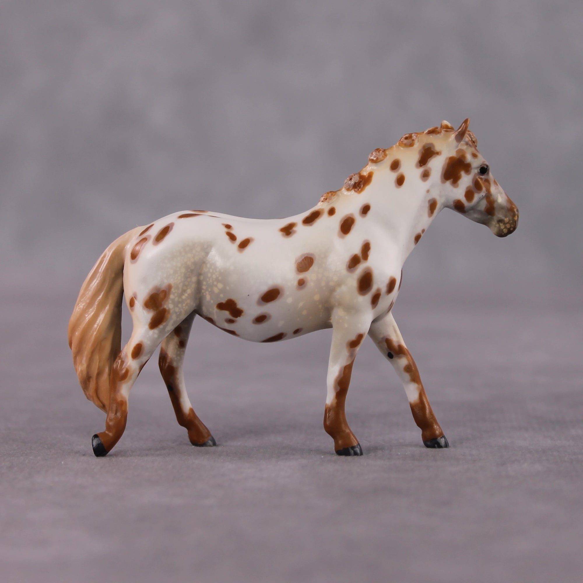 "Polar Plunge" OOAK Chestnut Leopard Appy W/ Halo Spots Pony Chip By Guest Artist Kristen Cermele