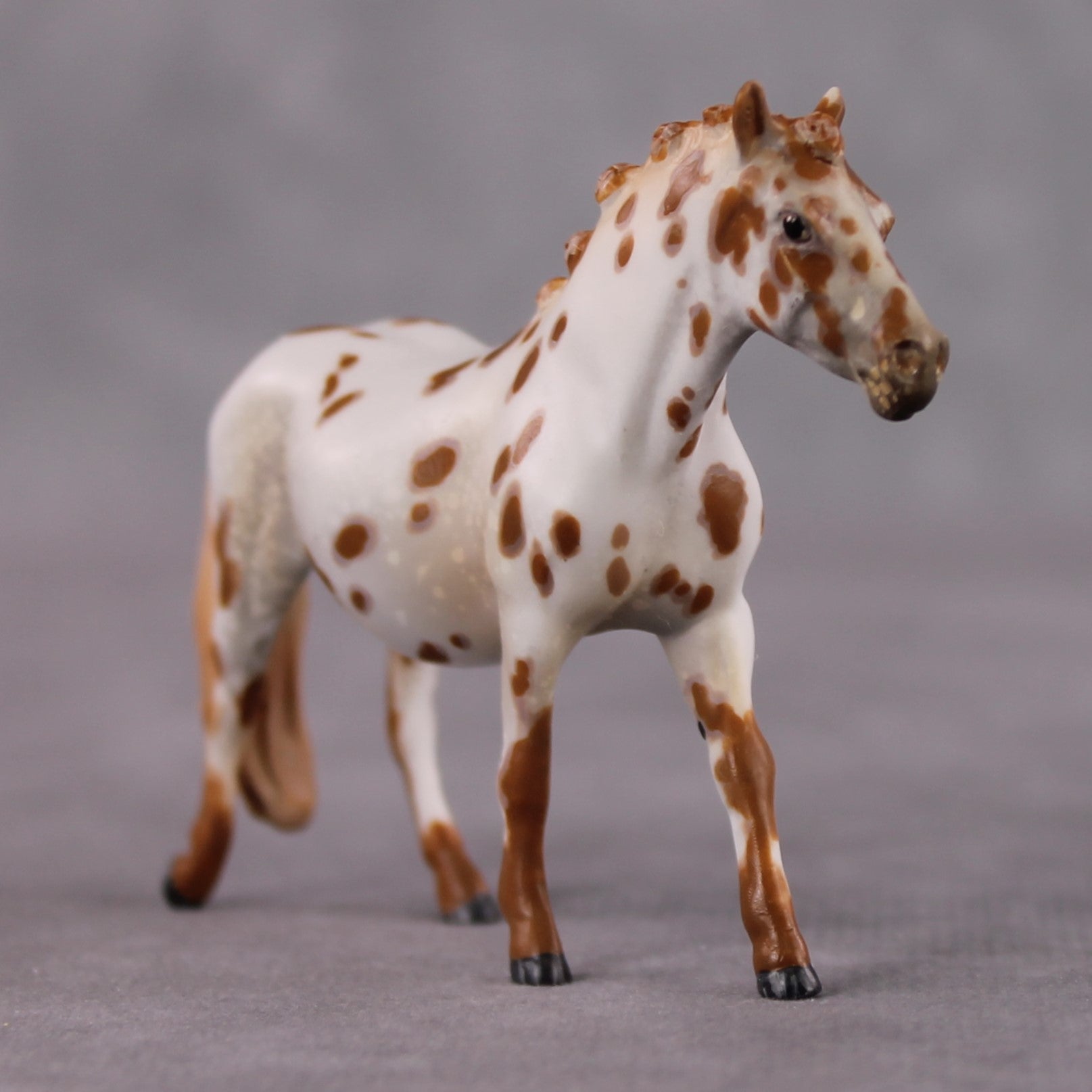"Polar Plunge" OOAK Chestnut Leopard Appy W/ Halo Spots Pony Chip By Guest Artist Kristen Cermele
