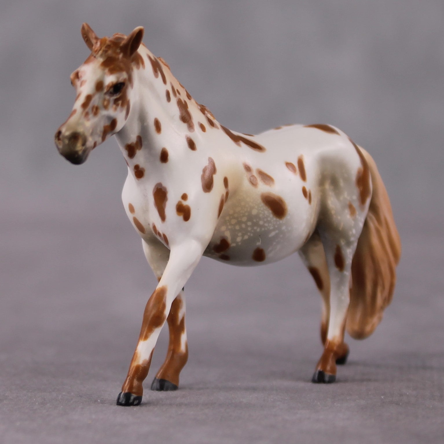 "Polar Plunge" OOAK Chestnut Leopard Appy W/ Halo Spots Pony Chip By Guest Artist Kristen Cermele