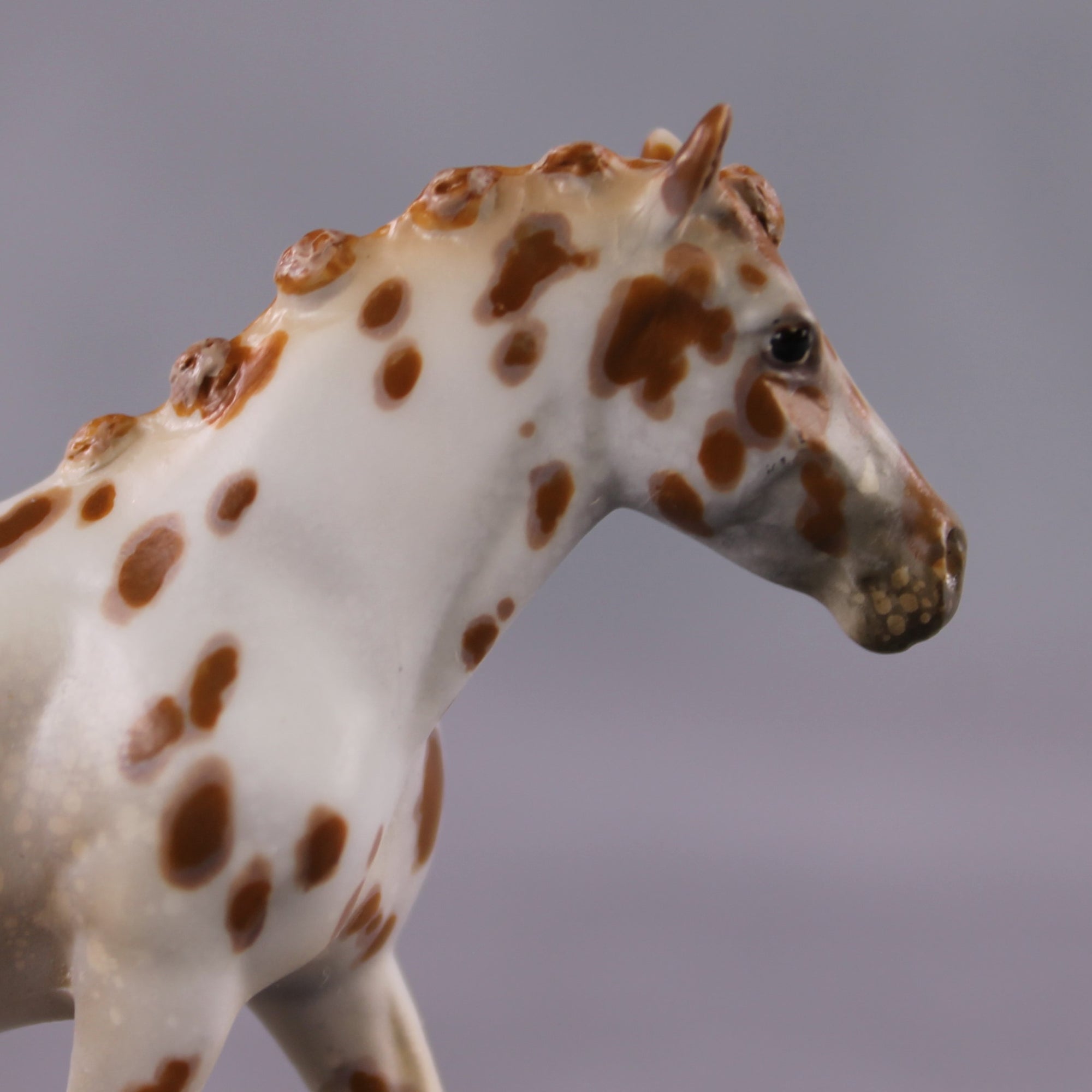 "Polar Plunge" OOAK Chestnut Leopard Appy W/ Halo Spots Pony Chip By Guest Artist Kristen Cermele