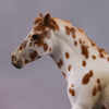 &quot;Polar Plunge&quot; OOAK Chestnut Leopard Appy W/ Halo Spots Pony Chip By Guest Artist Kristen Cermele