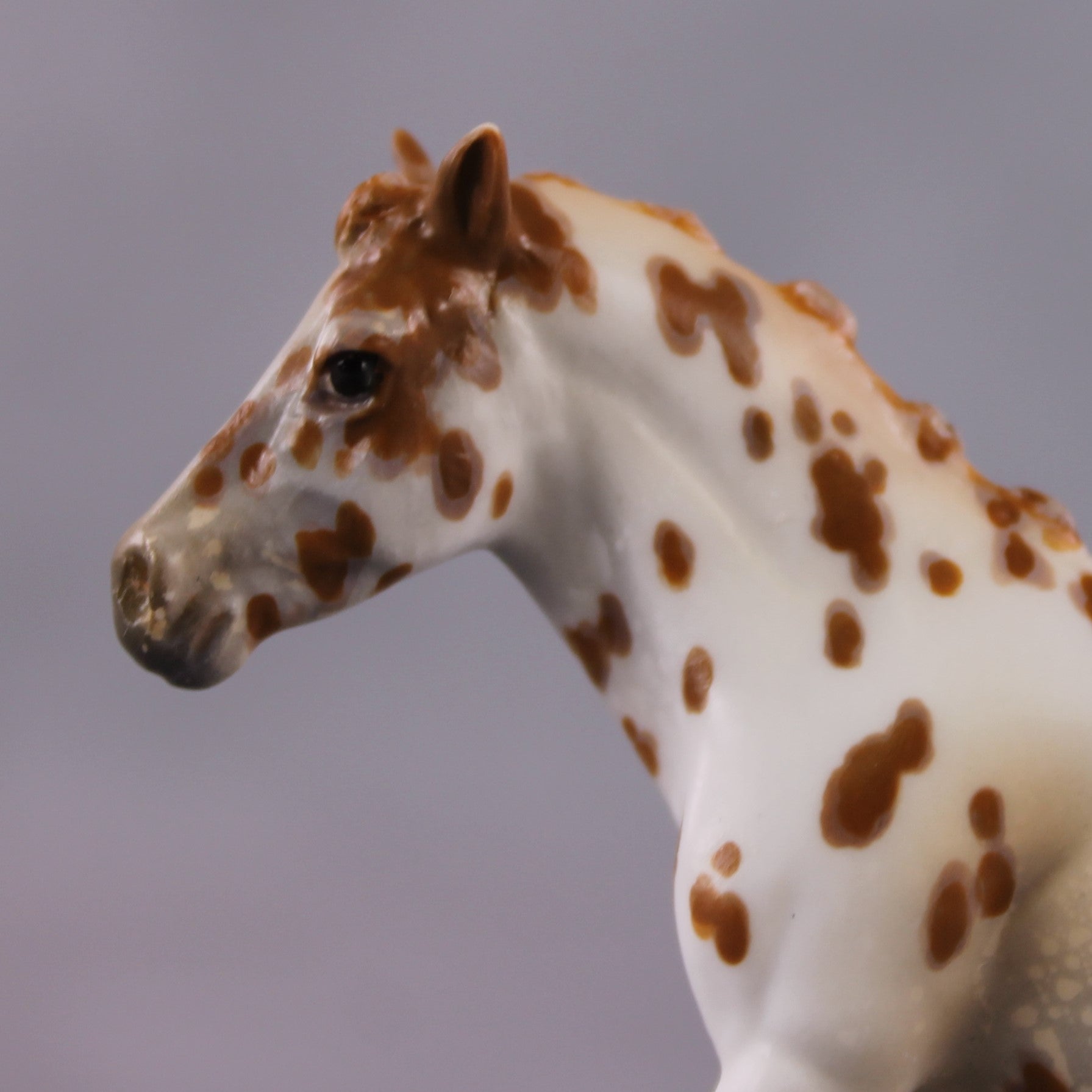 "Polar Plunge" OOAK Chestnut Leopard Appy W/ Halo Spots Pony Chip By Guest Artist Kristen Cermele