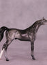 Asher OOAK Arabian Chip by Anna Rieck LHS25