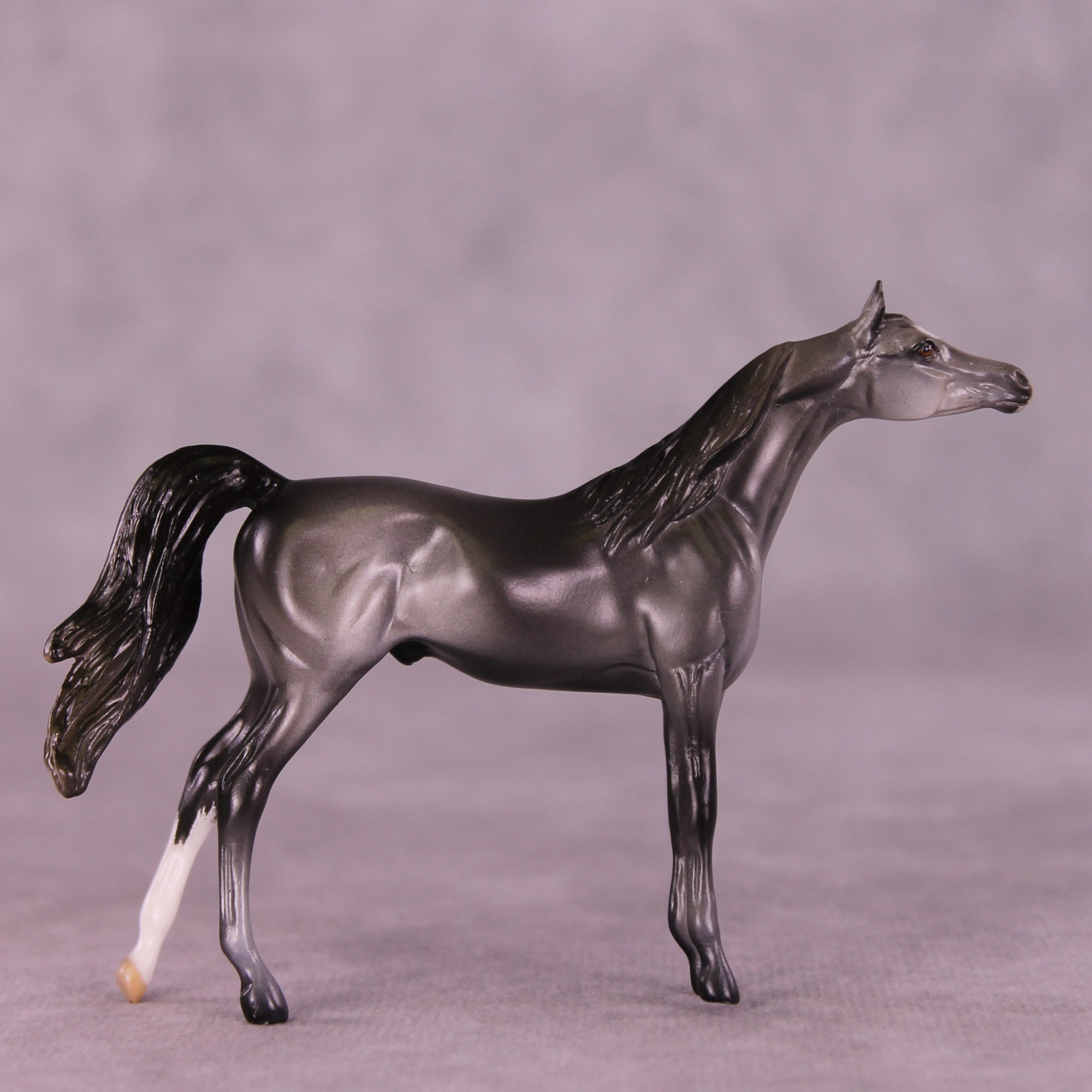 Asher OOAK Arabian Chip by Anna Rieck LHS25
