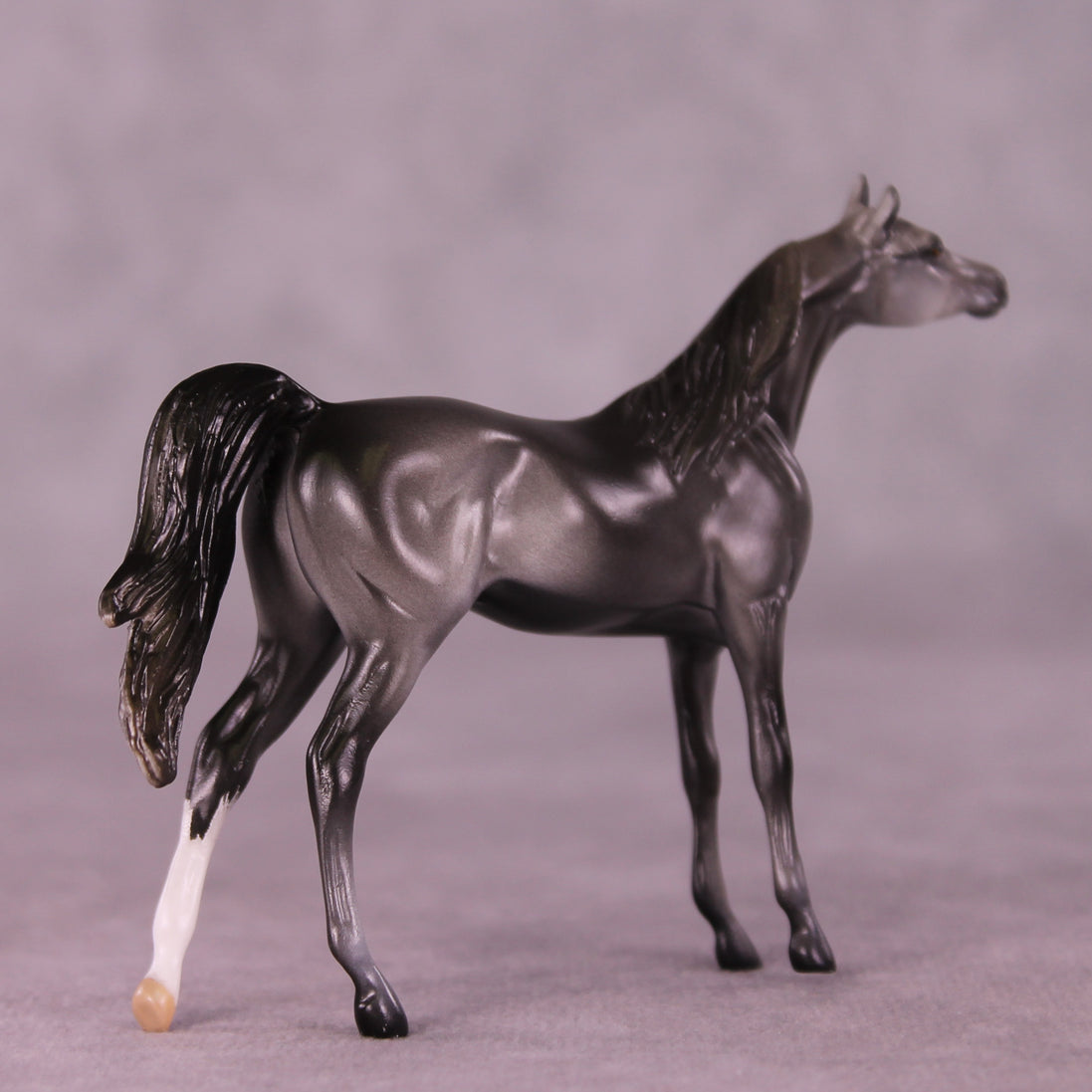Asher OOAK Arabian Chip by Anna Rieck LHS25