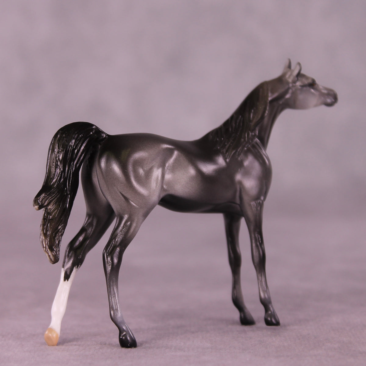 Asher OOAK Arabian Chip by Anna Rieck LHS25