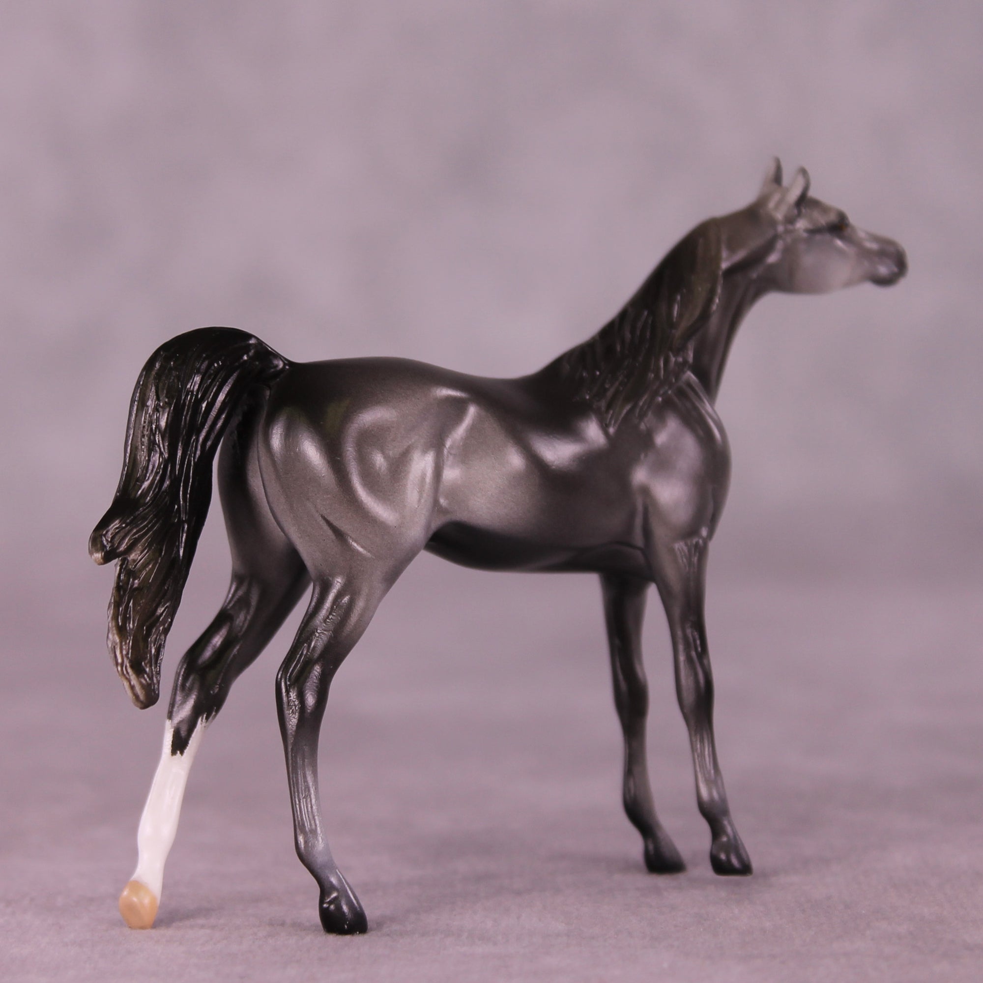 Asher OOAK Arabian Chip by Anna Rieck LHS25