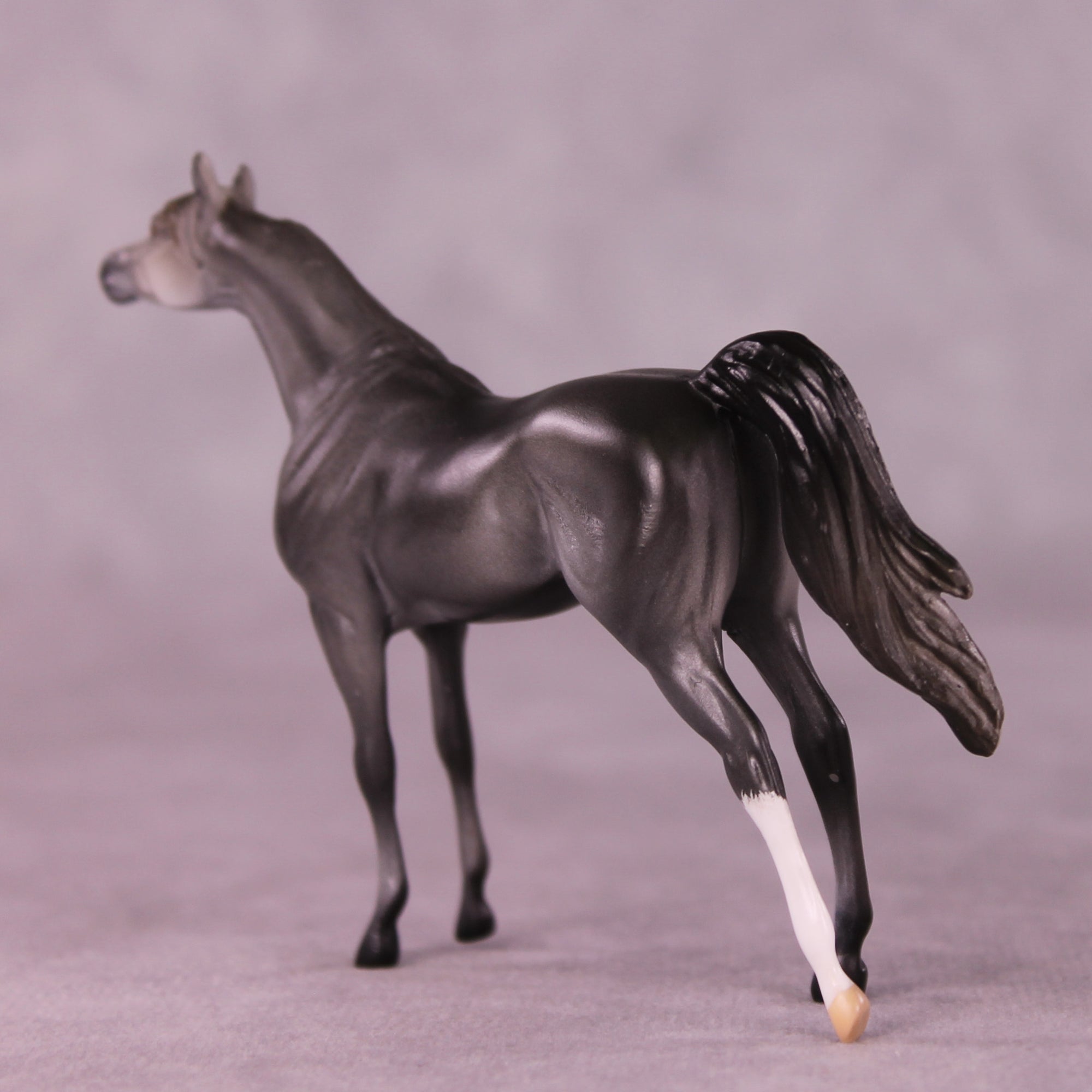 Asher OOAK Arabian Chip by Anna Rieck LHS25