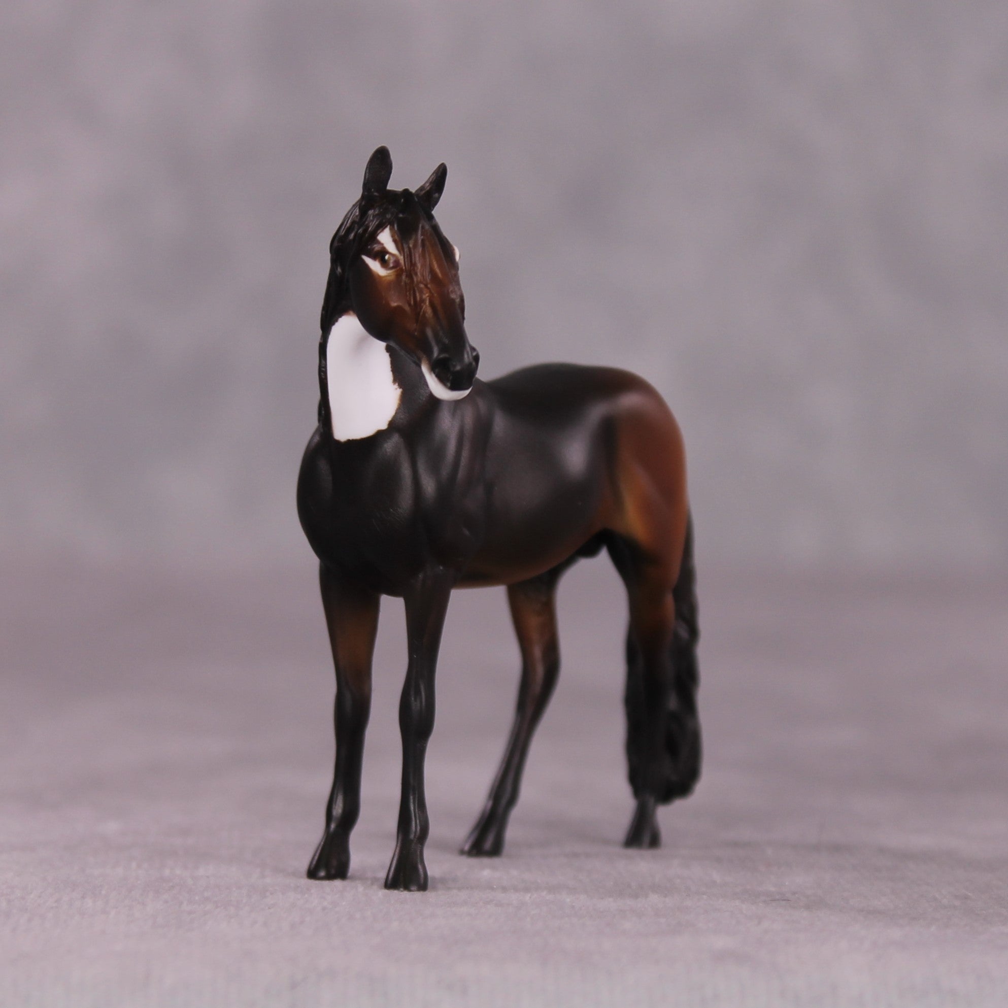 "Mmusi" FCM Andalusian Chip by Tegan Davis