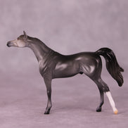 Asher OOAK Arabian Chip by Anna Rieck LHS25