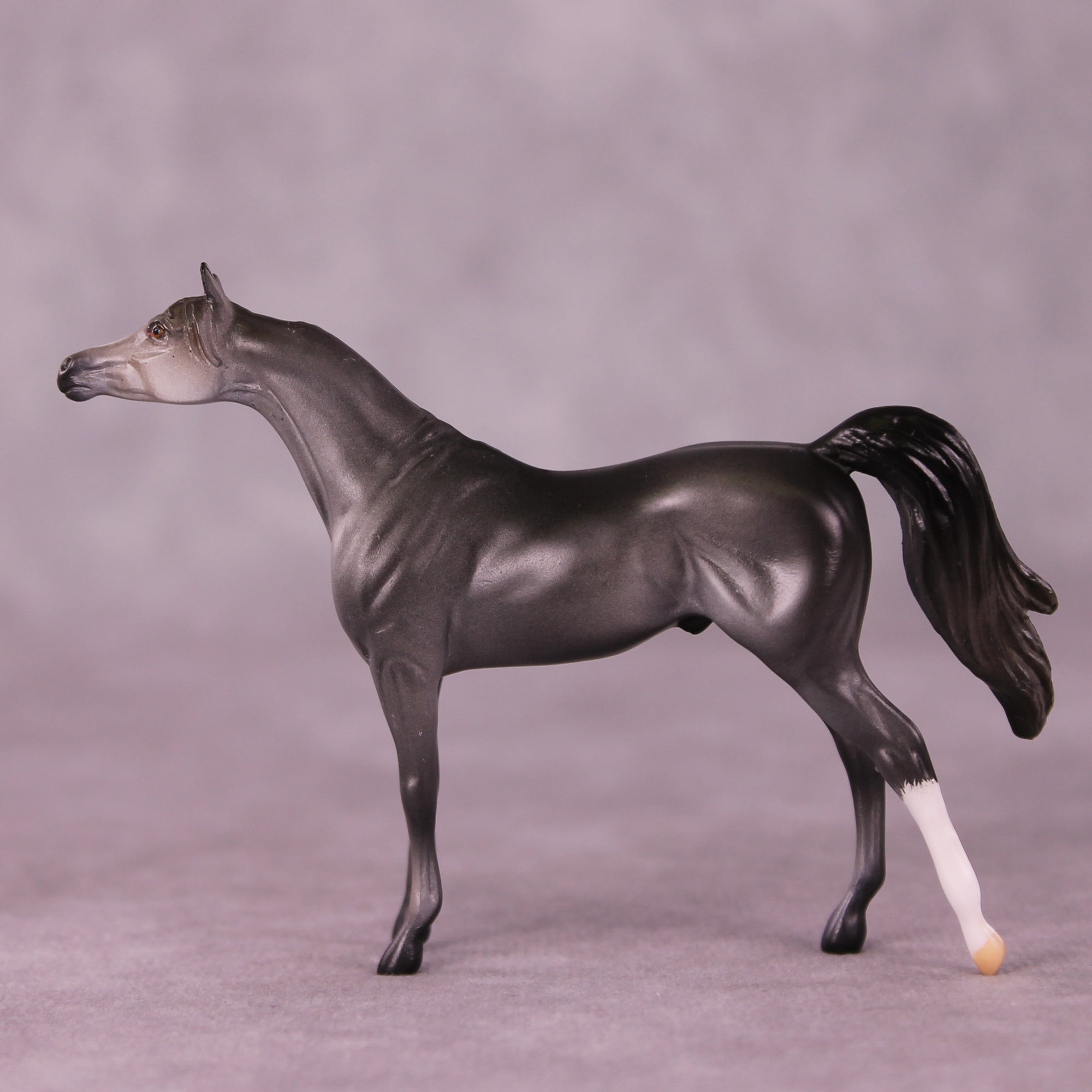 Asher OOAK Arabian Chip by Anna Rieck LHS25