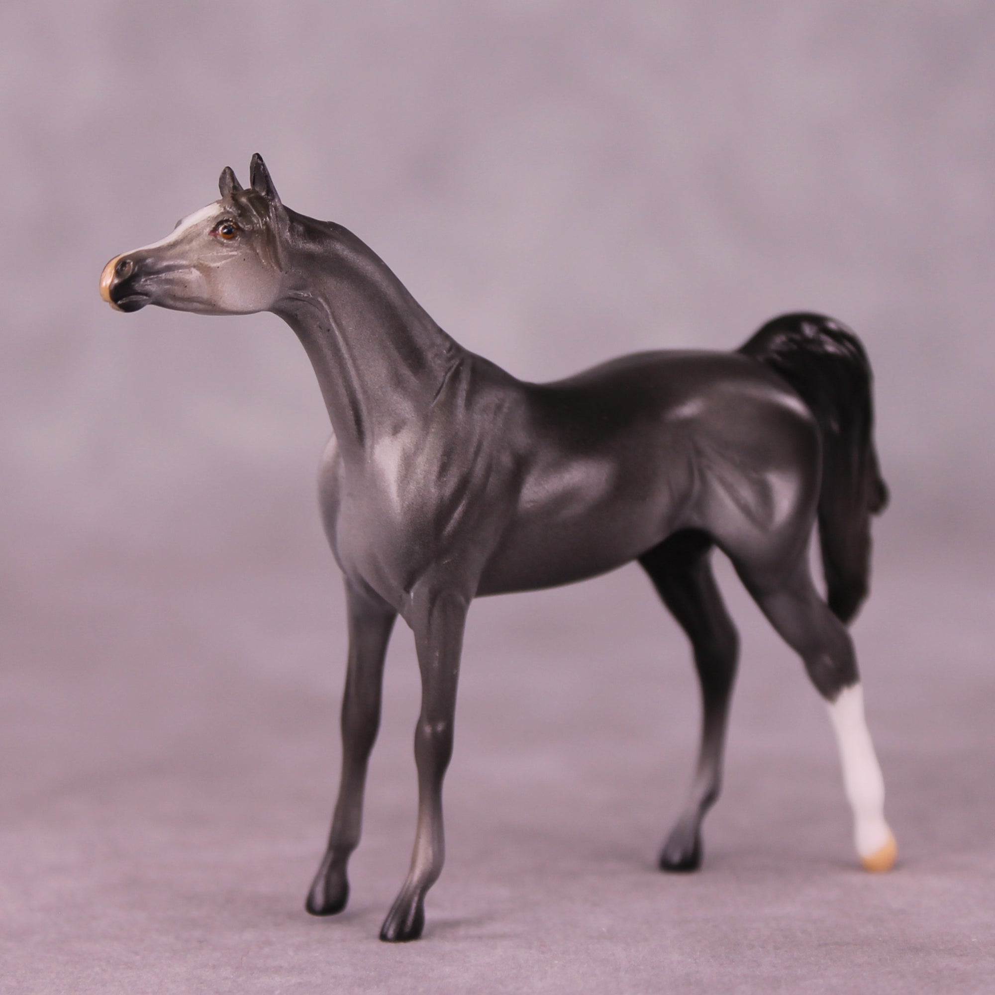 Asher OOAK Arabian Chip by Anna Rieck LHS25