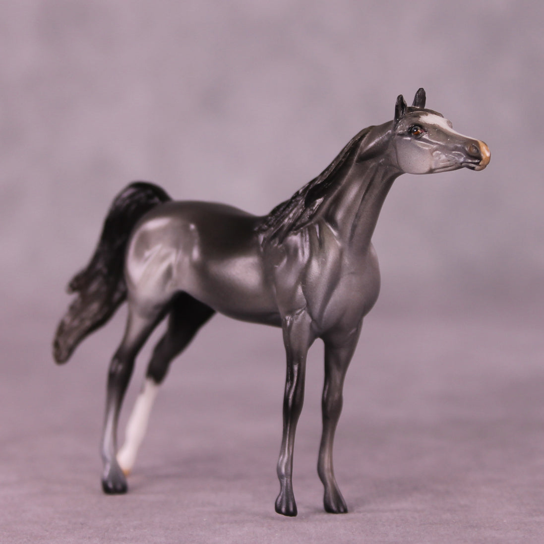 Asher OOAK Arabian Chip by Anna Rieck LHS25