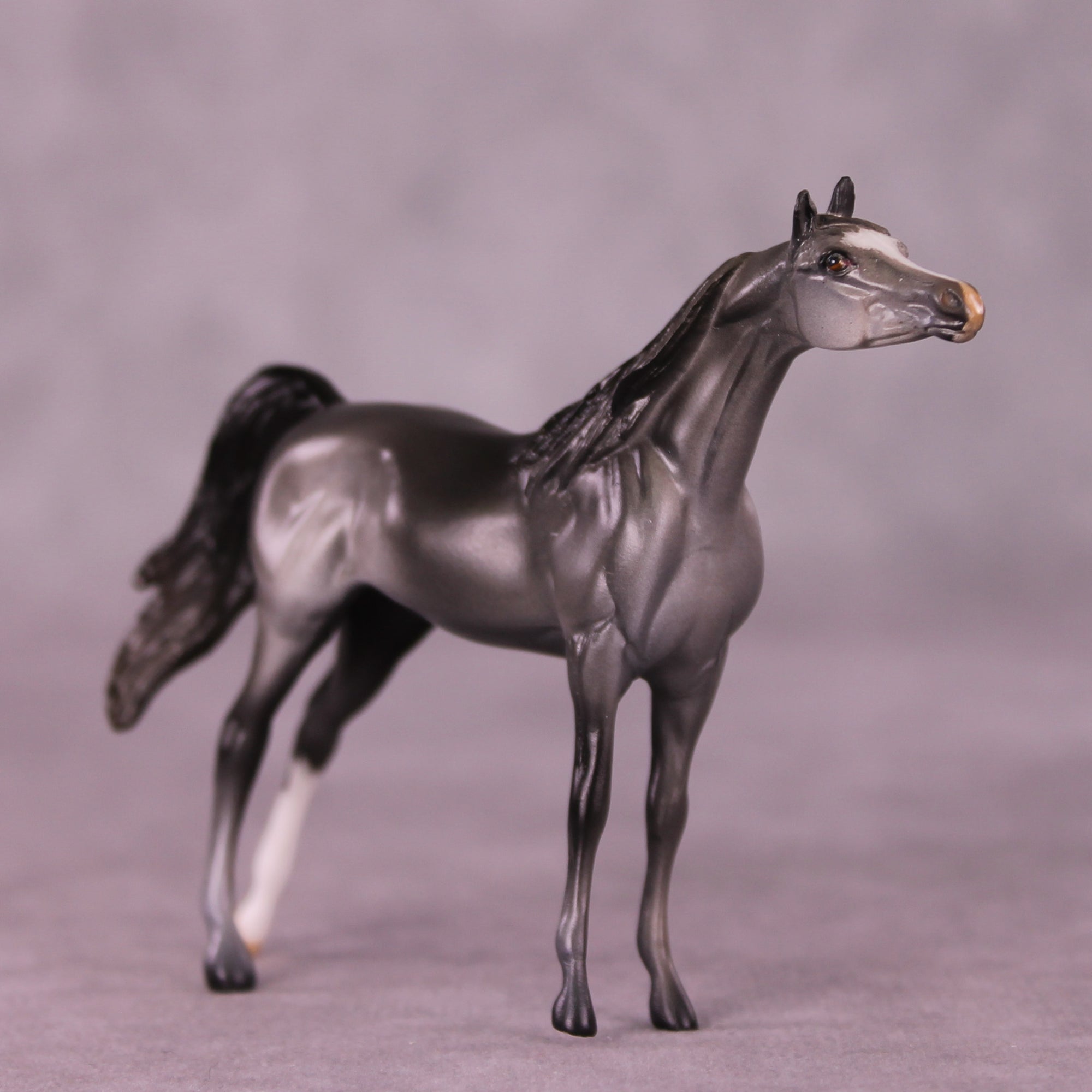 Asher OOAK Arabian Chip by Anna Rieck LHS25