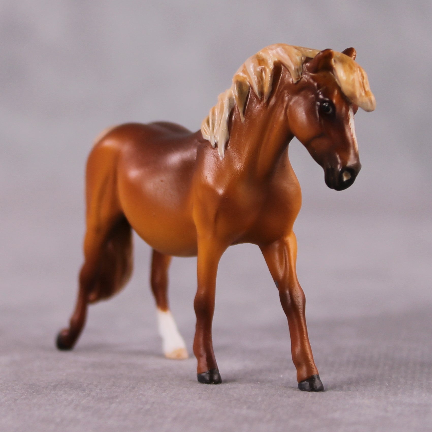 "Dear Reader" OOAK Deep Chestnut Custom Pony Chip By Guest Artist Kristen Cermele