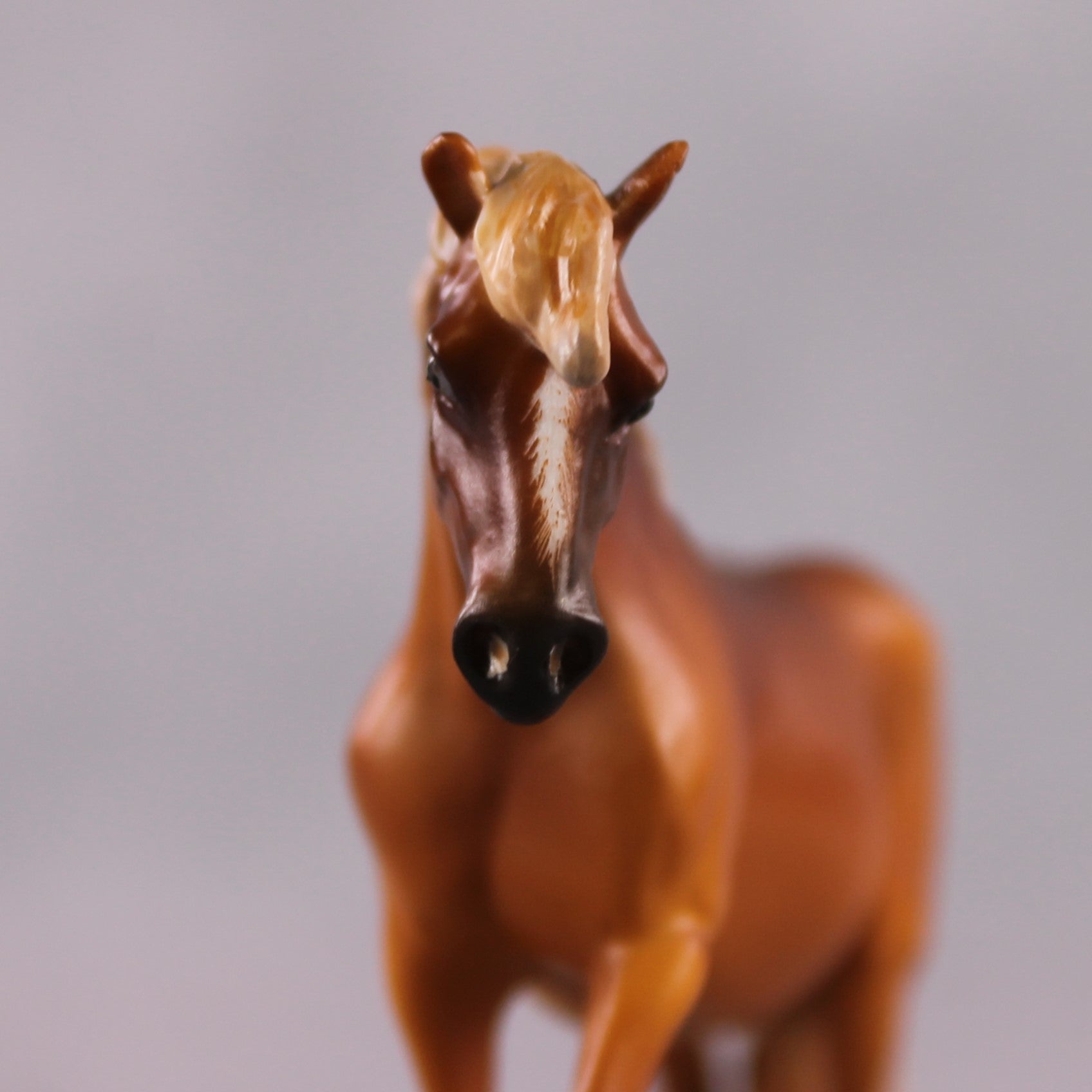 "Dear Reader" OOAK Deep Chestnut Custom Pony Chip By Guest Artist Kristen Cermele