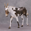 Conejo-Ciervo OOAK Jackelope Deco Mule By Jess Hamill MM24 Best Offer