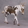 Conejo-Ciervo OOAK Jackelope Deco Mule By Jess Hamill MM24 Best Offer