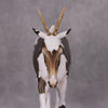 Conejo-Ciervo OOAK Jackelope Deco Mule By Jess Hamill MM24 Best Offer