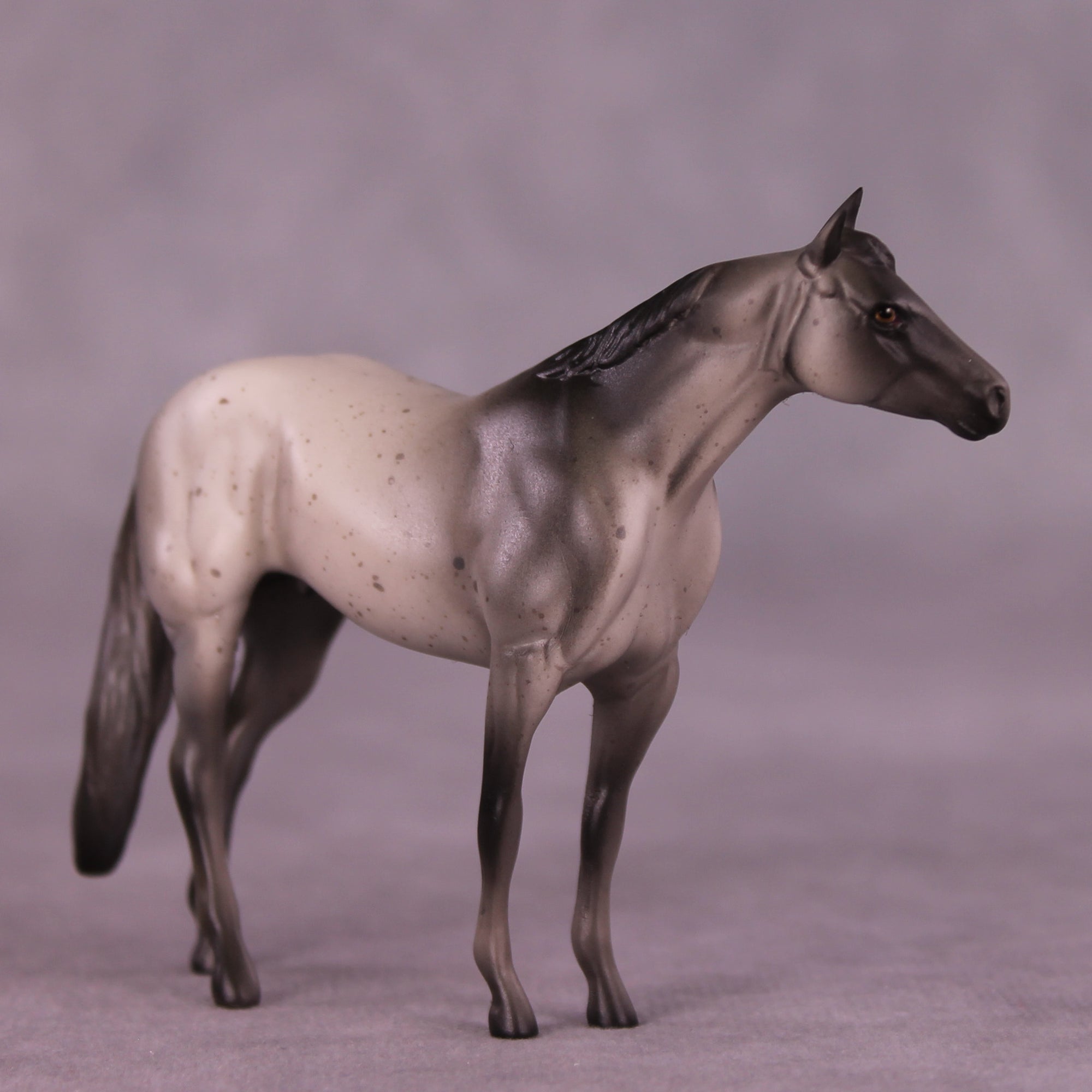 Stiles OOAK Stock Chip by Anna Rieck LHS25