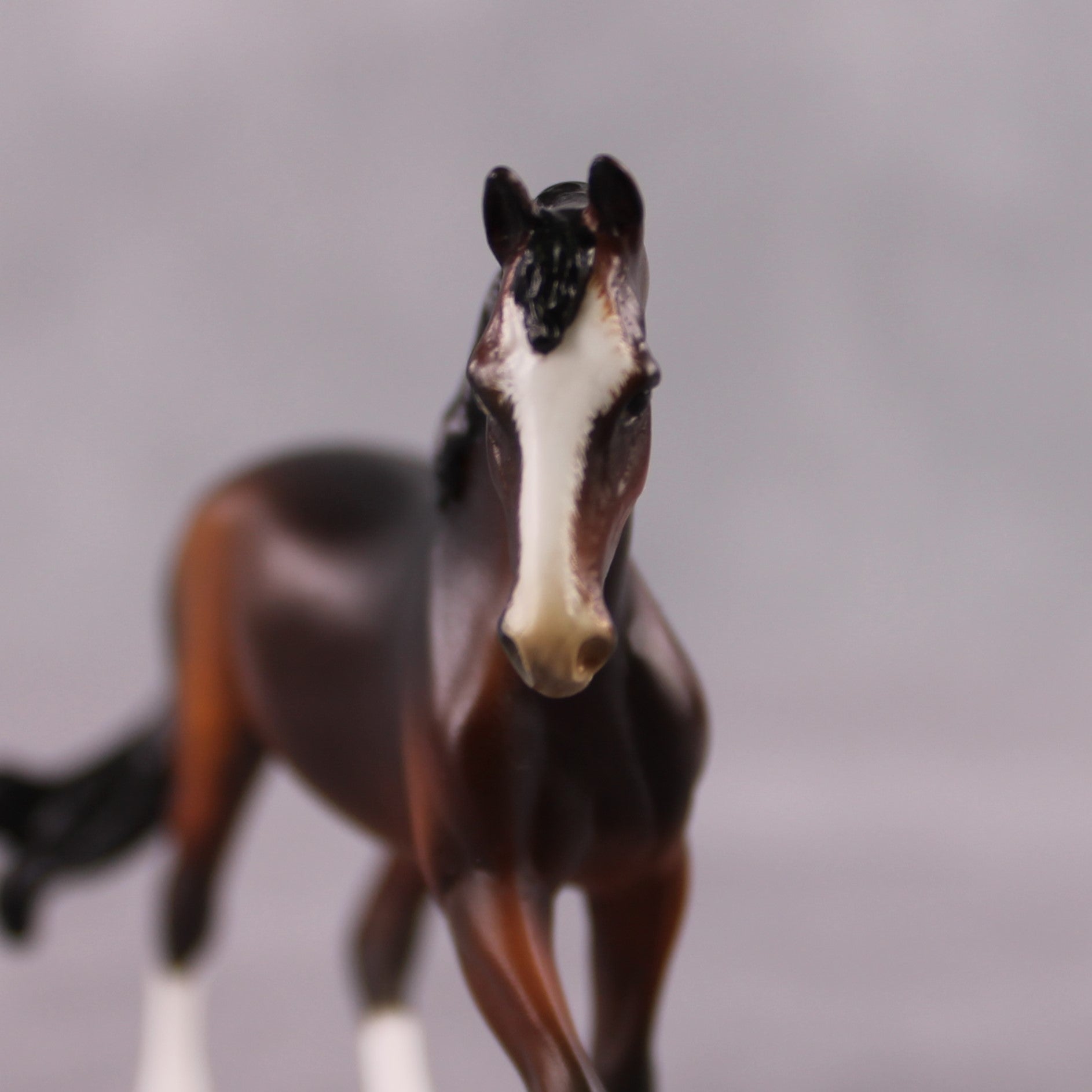 "VA Bingpot" OOAK Custom Bay W/ Chrome Warmblood Chip By Guest Artist Kristen Cermele