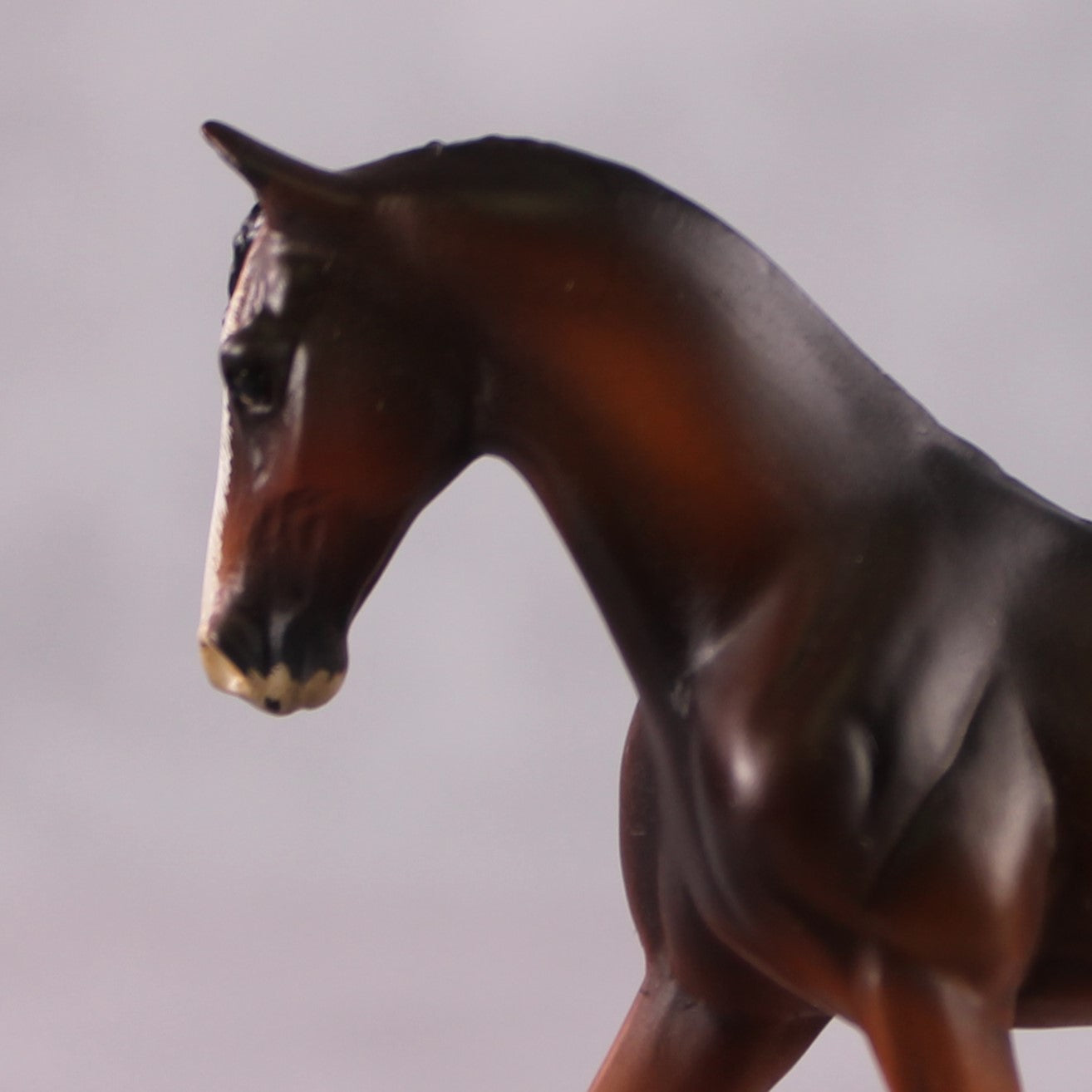 "VA Bingpot" OOAK Custom Bay W/ Chrome Warmblood Chip By Guest Artist Kristen Cermele
