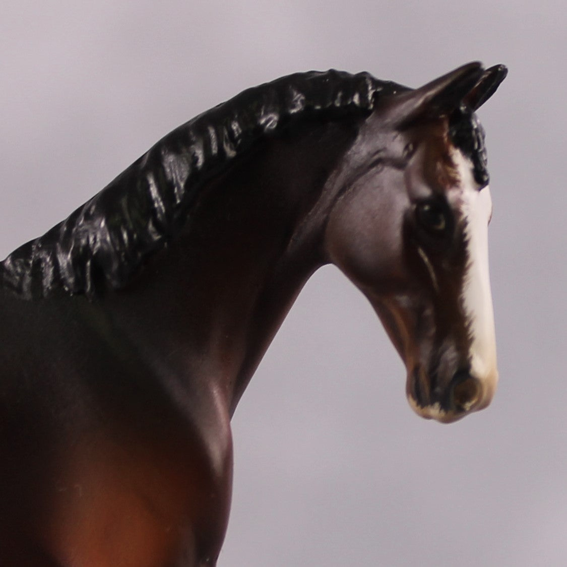 "VA Bingpot" OOAK Custom Bay W/ Chrome Warmblood Chip By Guest Artist Kristen Cermele