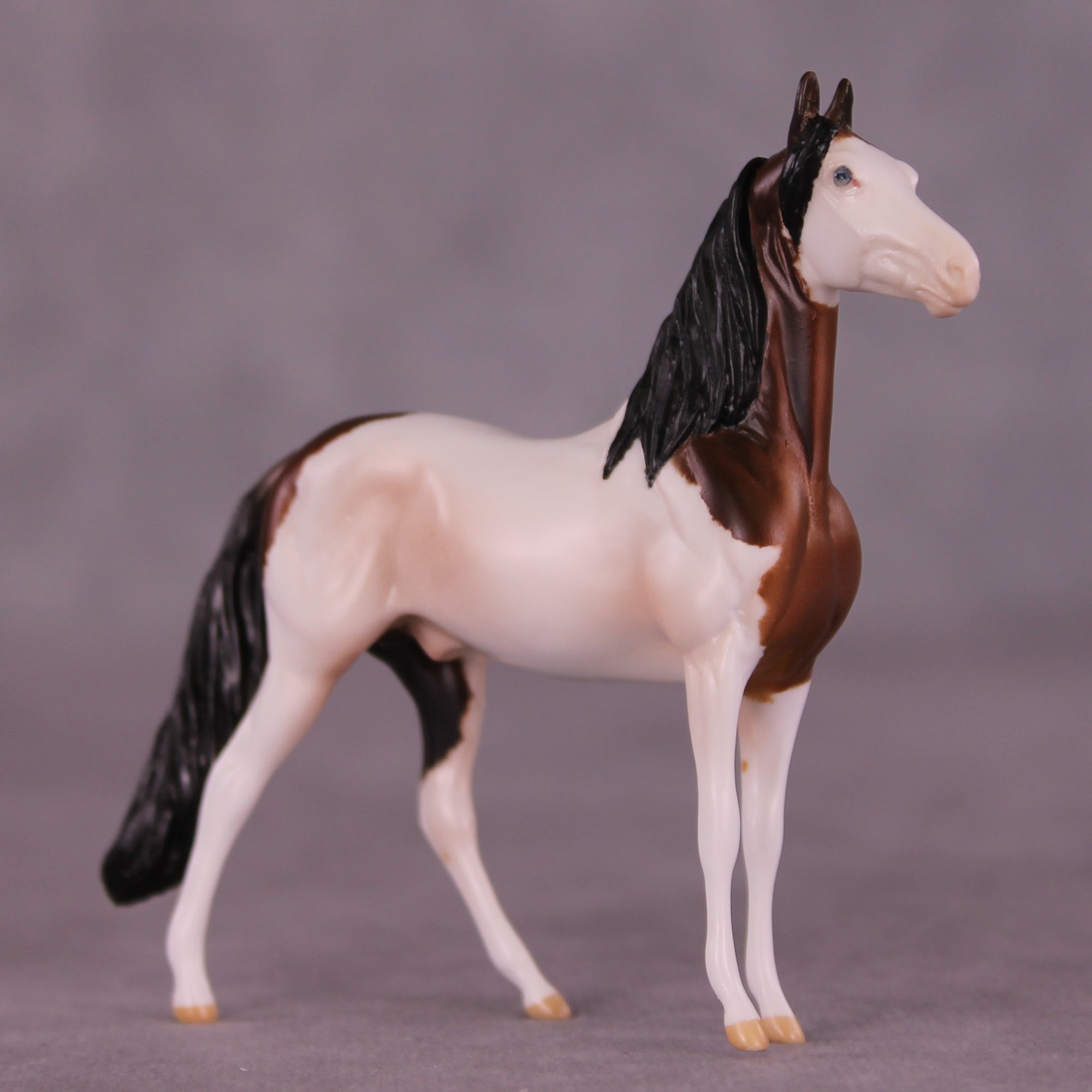 Cannoli OOAK Chip Morgan by Anna Rieck LHS25