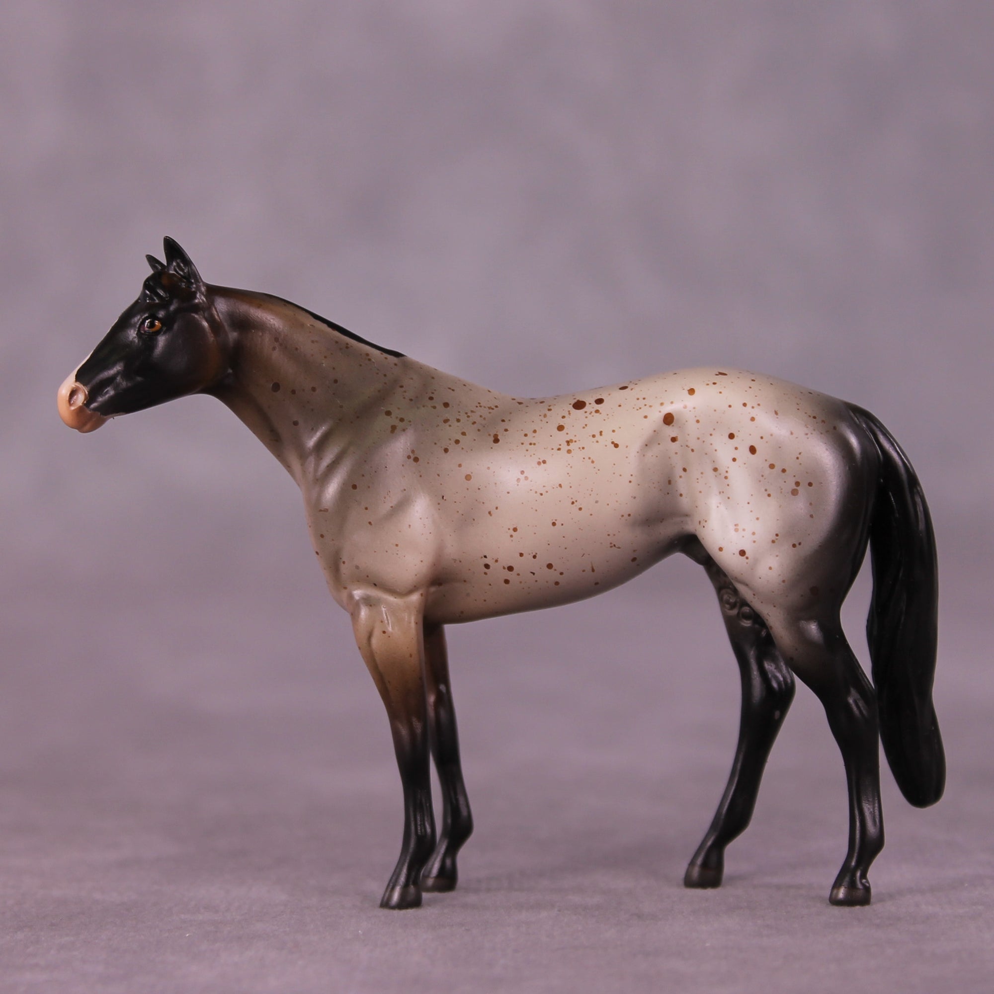 Archibald OOAK Stock Chip by Anna Rieck LHS25