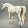 DAH Dappled White Arabian Pebble SS824 Sale