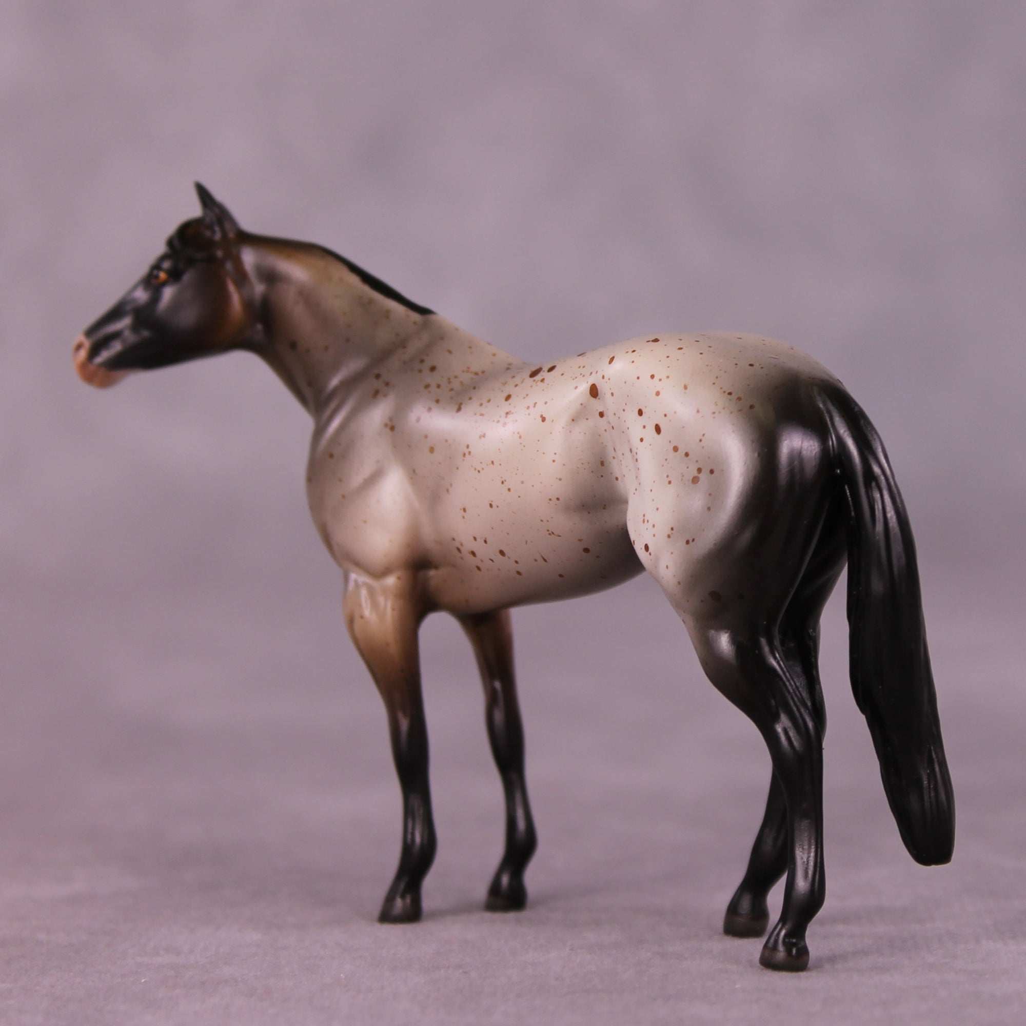 Archibald OOAK Stock Chip by Anna Rieck LHS25
