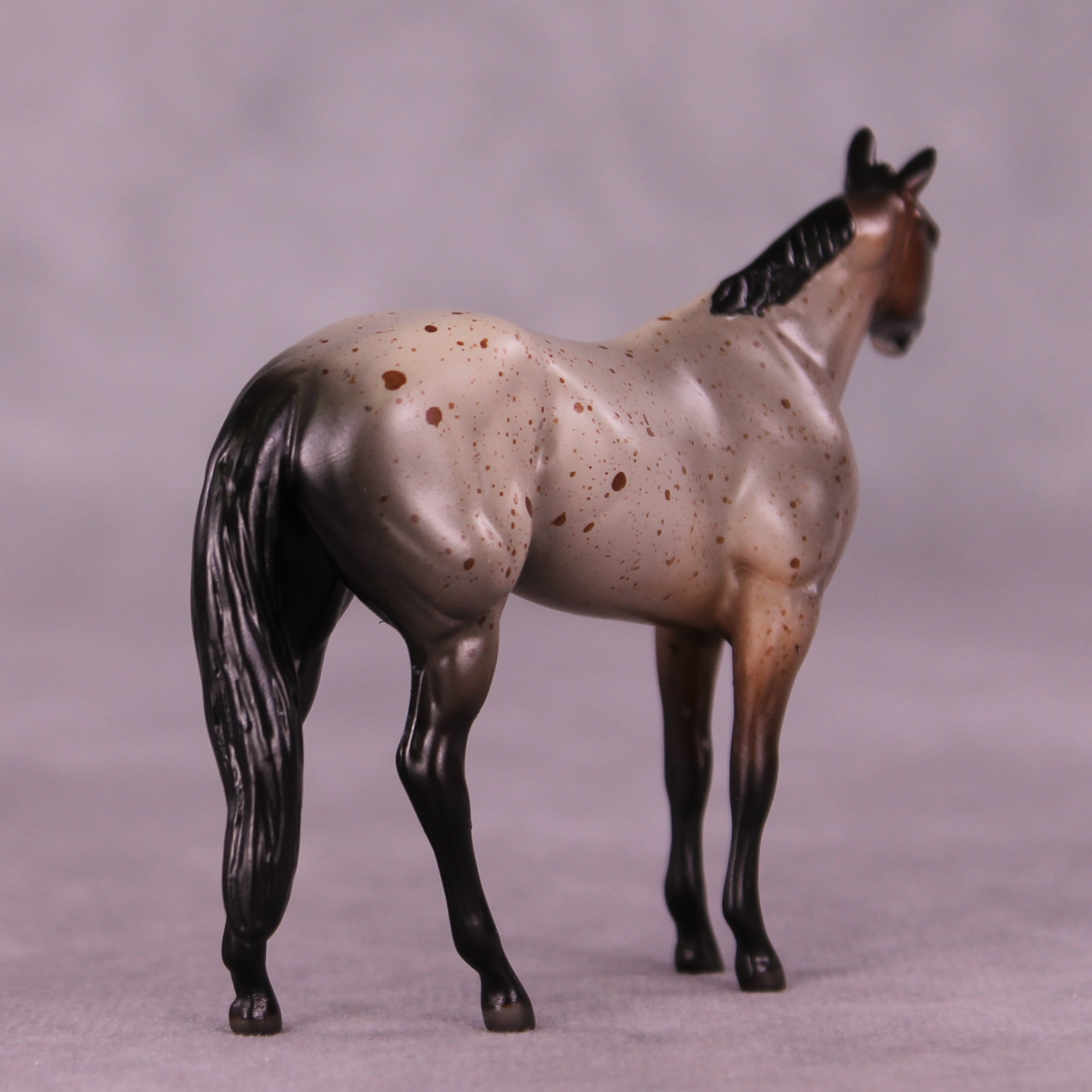 Archibald OOAK Stock Chip by Anna Rieck LHS25