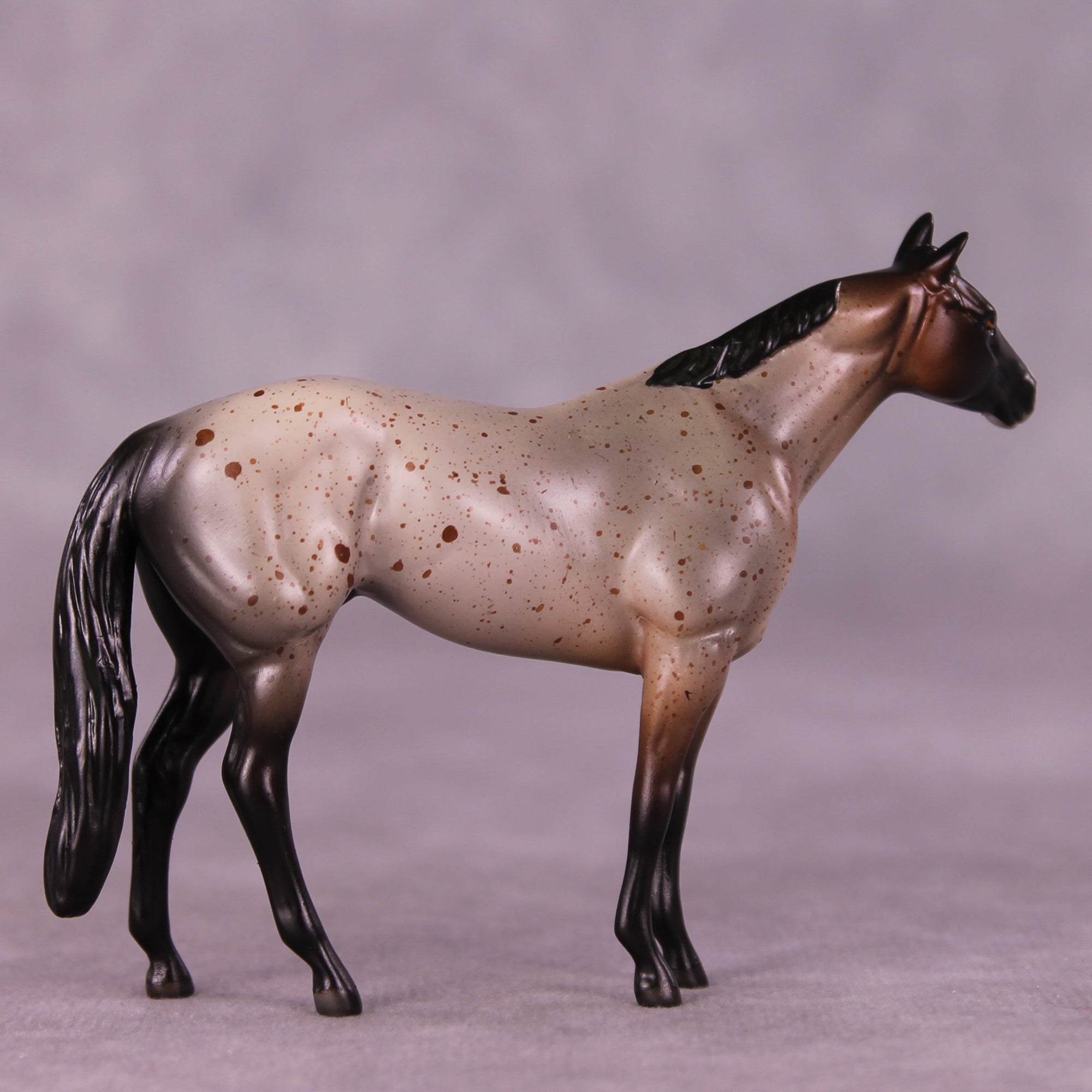 Archibald OOAK Stock Chip by Anna Rieck LHS25
